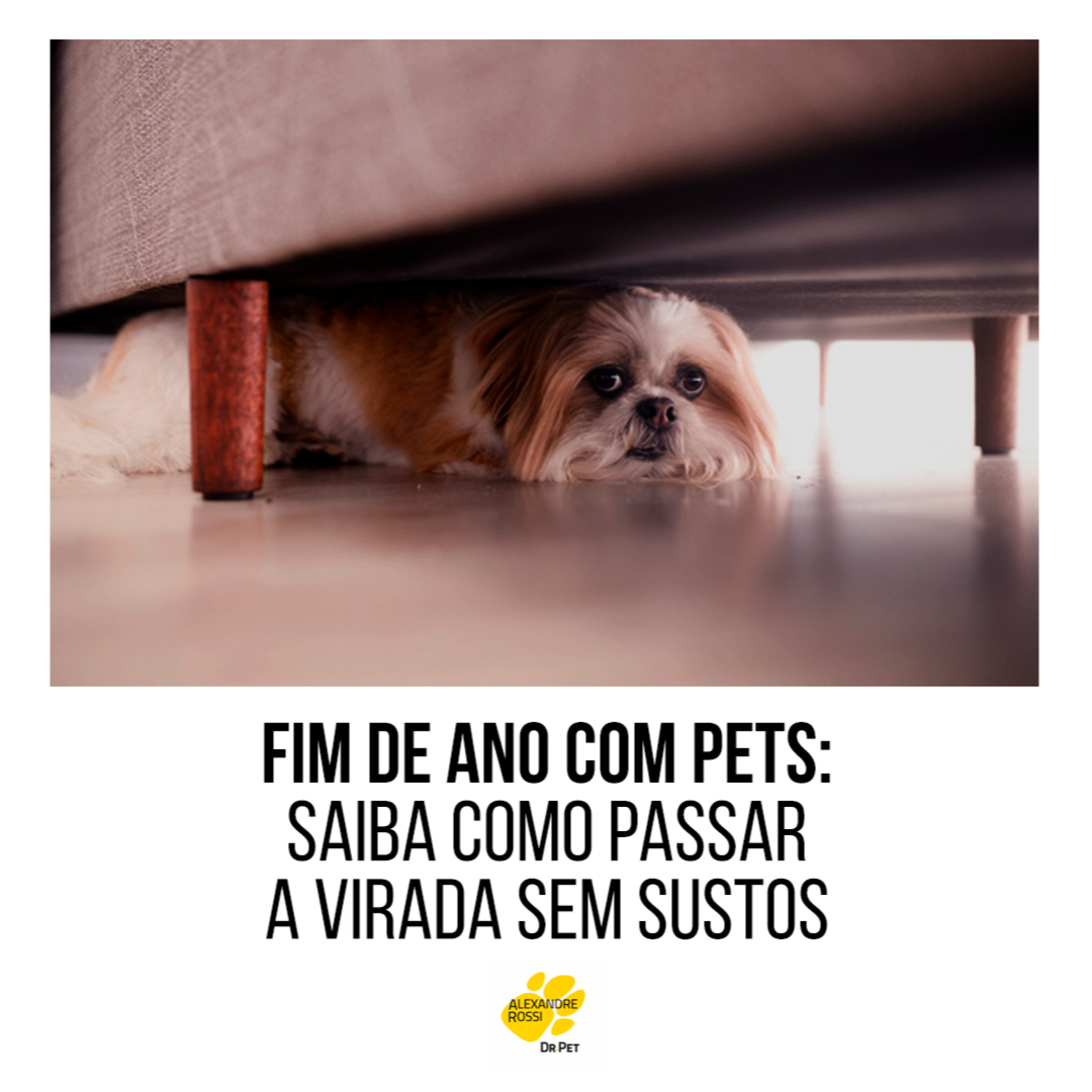 EP 194: FIM DE ANO COM PETS: saiba como passar a virada sem sustos episode artwork