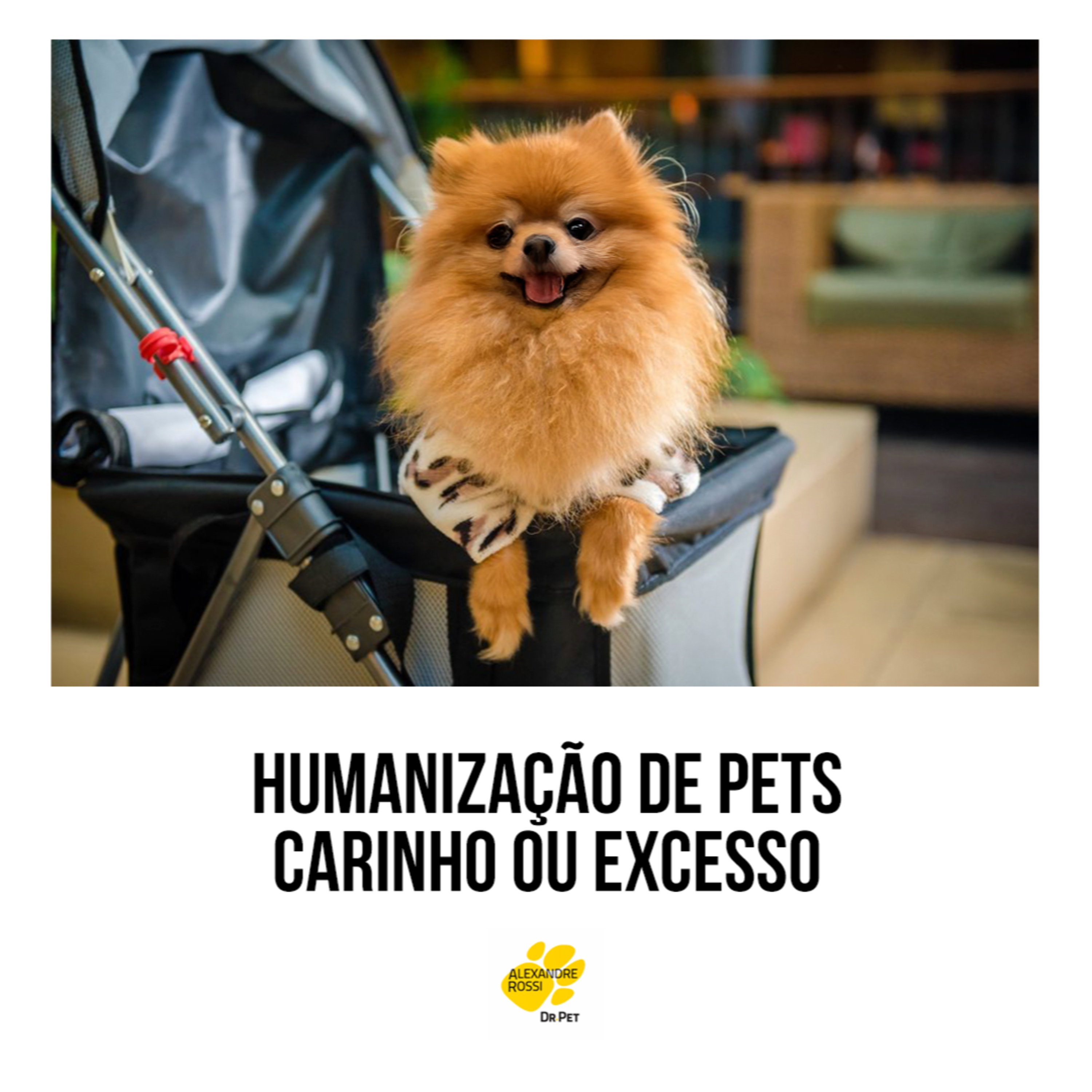 EP 202: Humanização de pets: carinho ou excesso? episode artwork