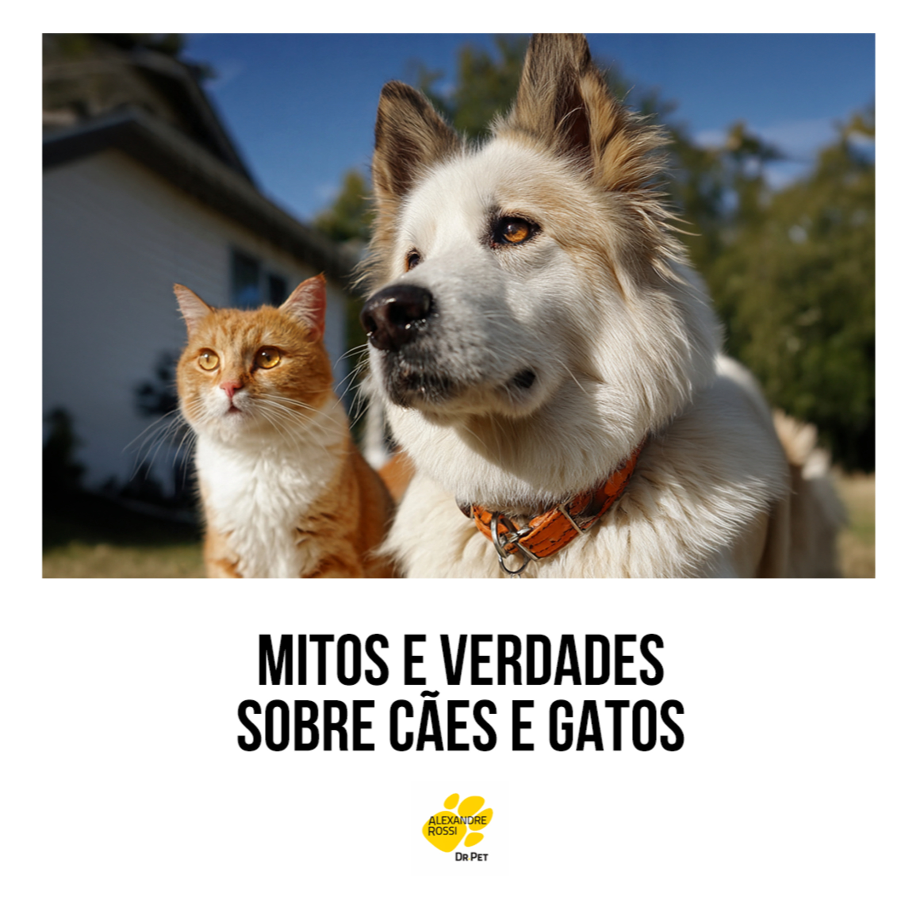 EP 208: MITOS E VERDADES SOBRE CÃES E GATOS episode artwork
