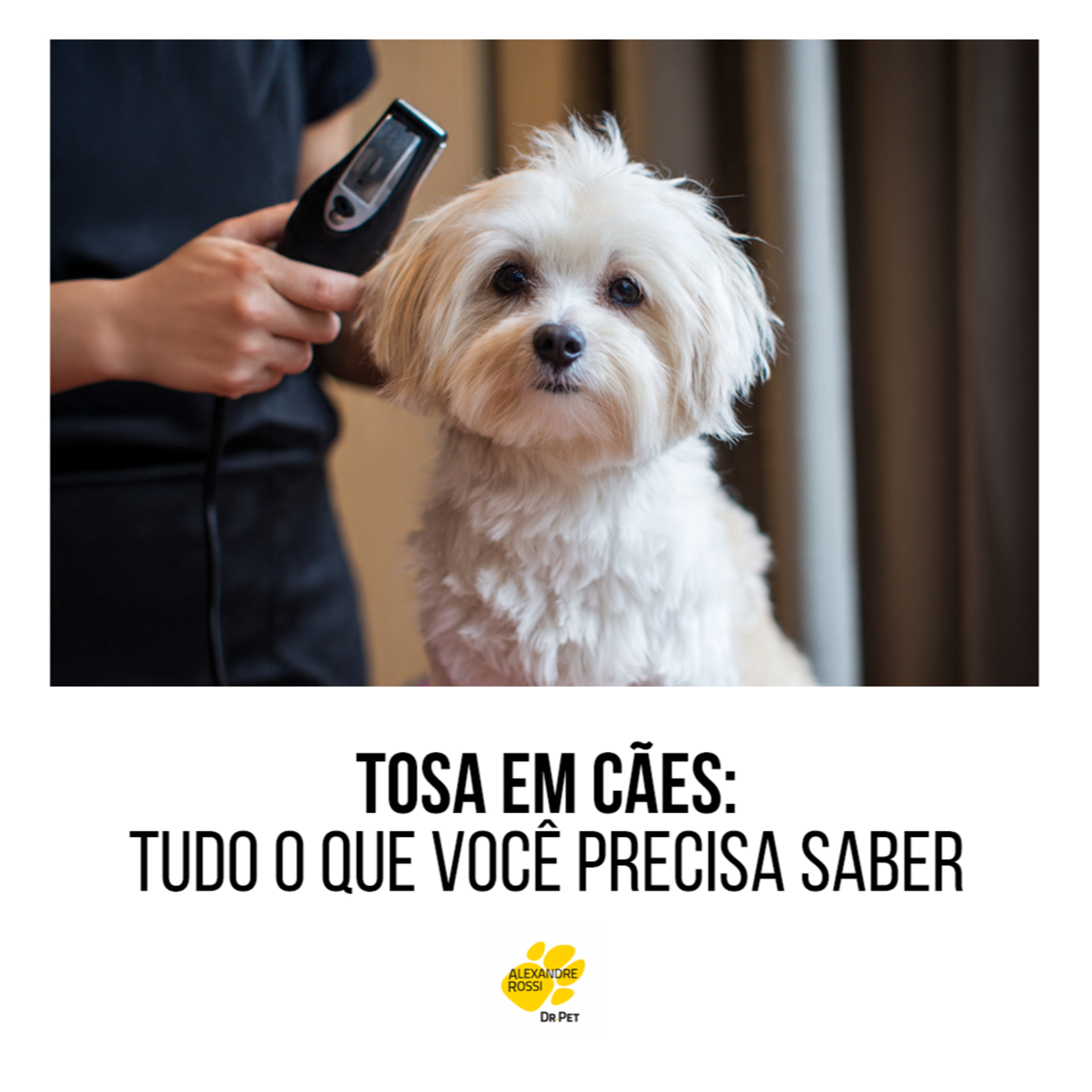 EP 209: TOSA EM CÃES: tudo o que você precisa saber episode artwork