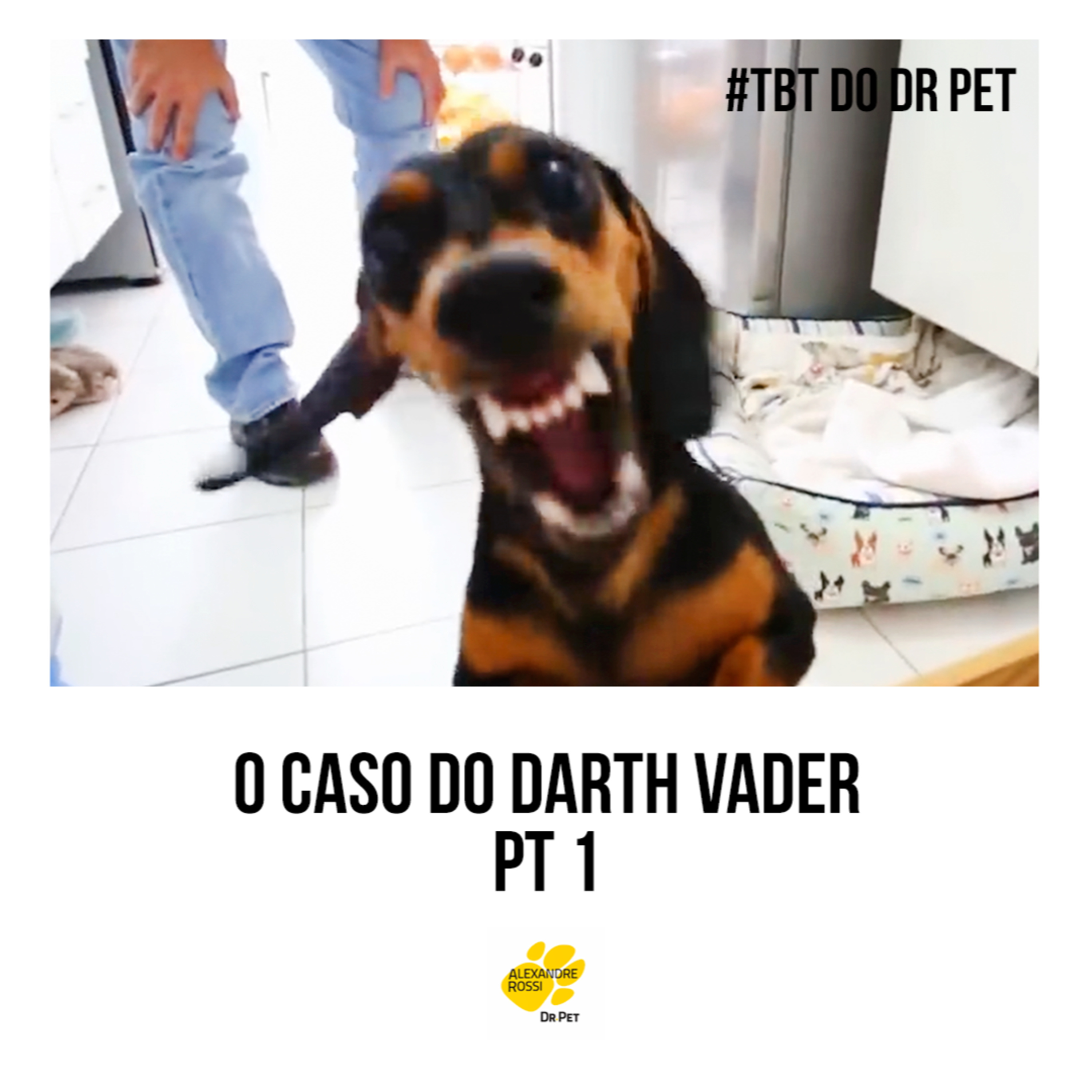 EP 212: #TBT do Dr Pet - O caso do Darth Vader (pt 1) episode artwork