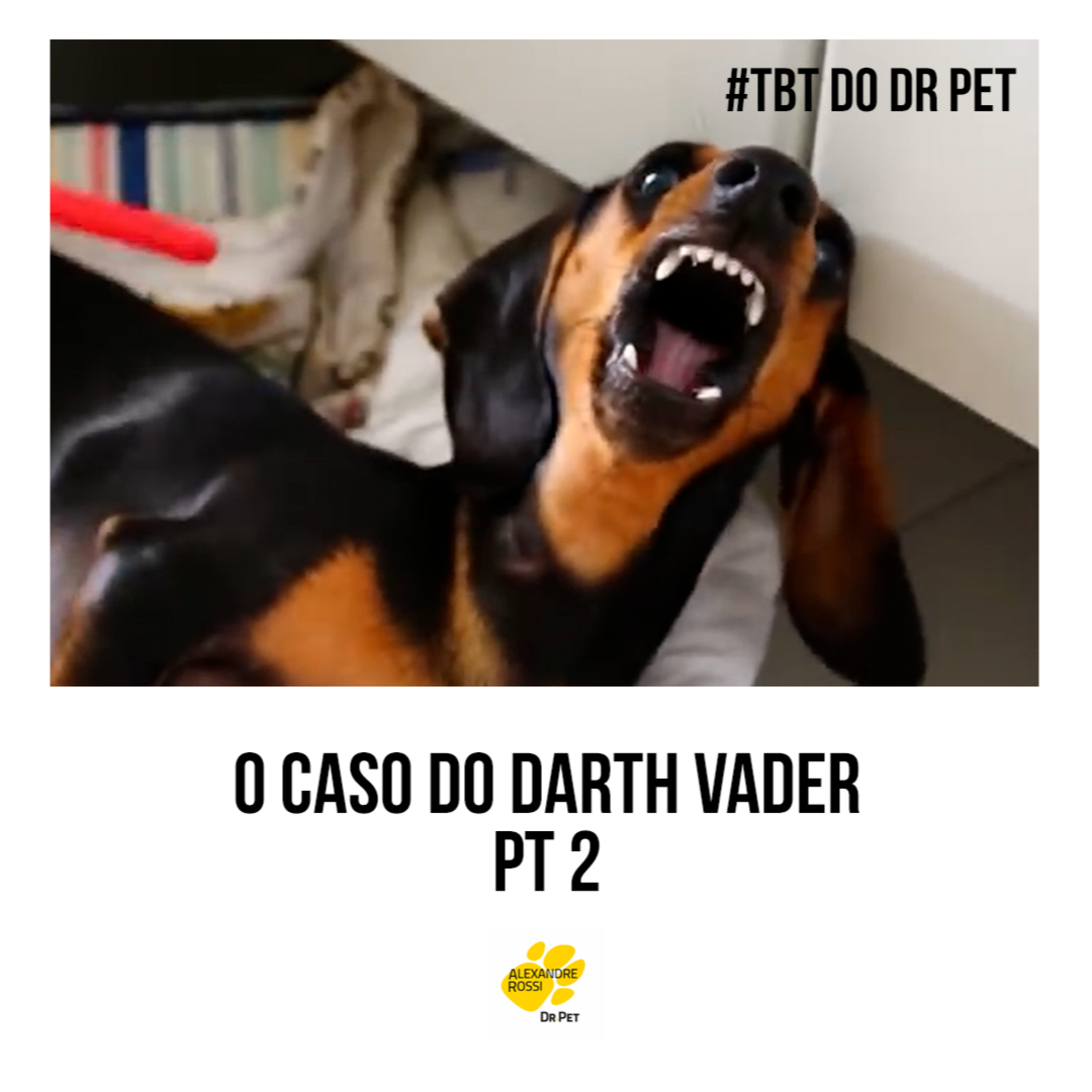 EP 213: #TBT do Dr Pet - O caso do Darth Vader (pt 2) episode artwork