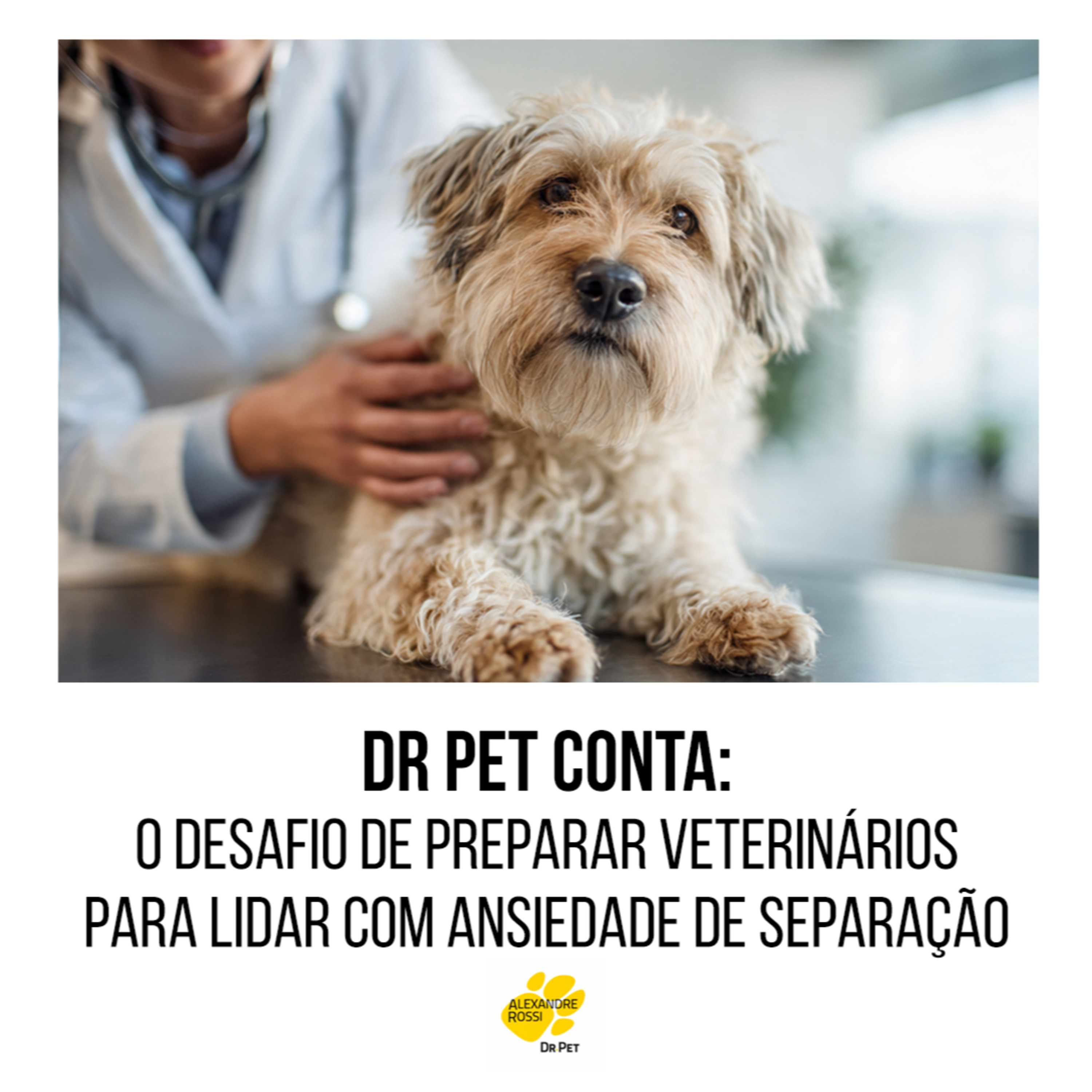 EP 214: Dr Pet Conta: o desafio de preparar veterinários para lidar com ansiedade de separação  episode artwork