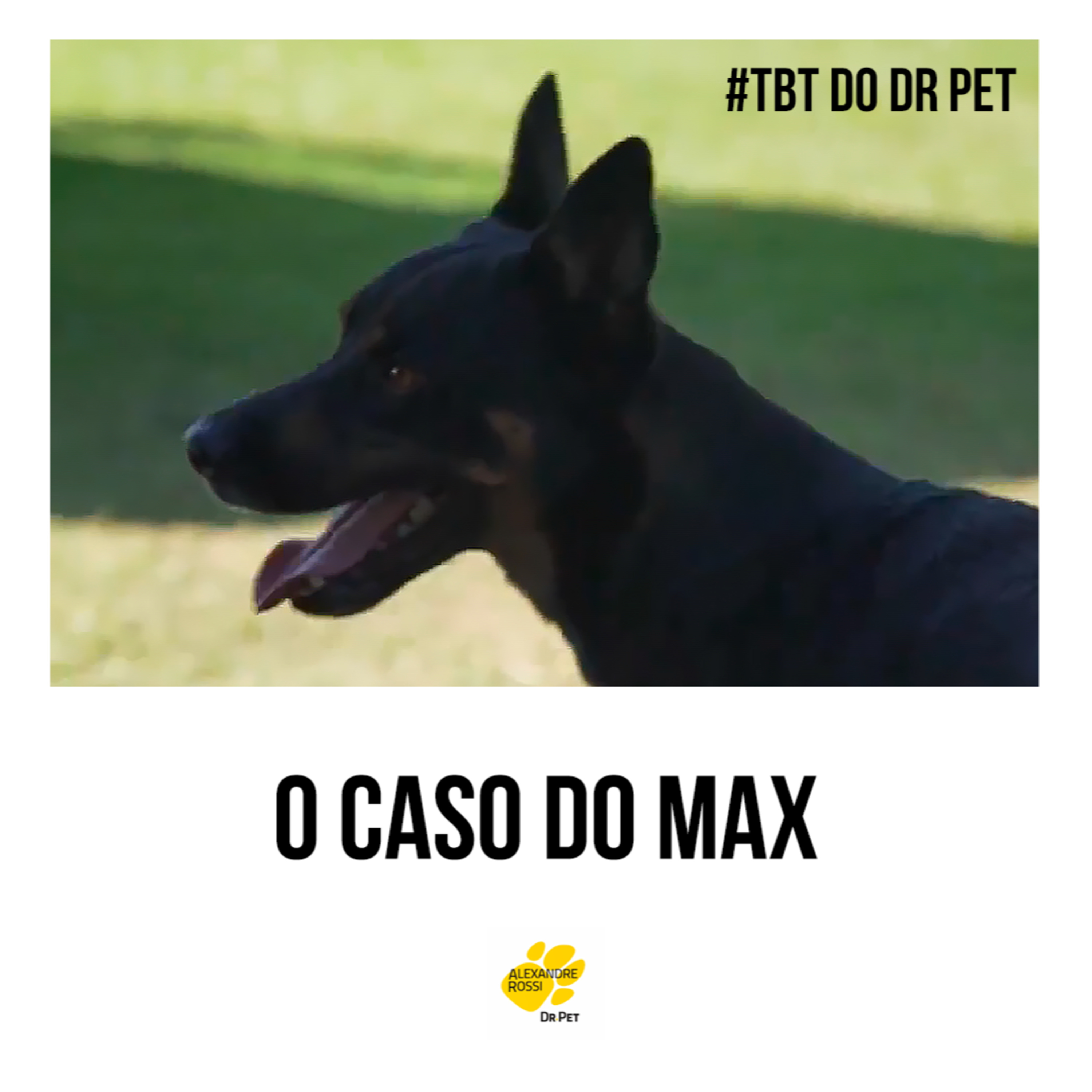 Podcast do Dr Pet