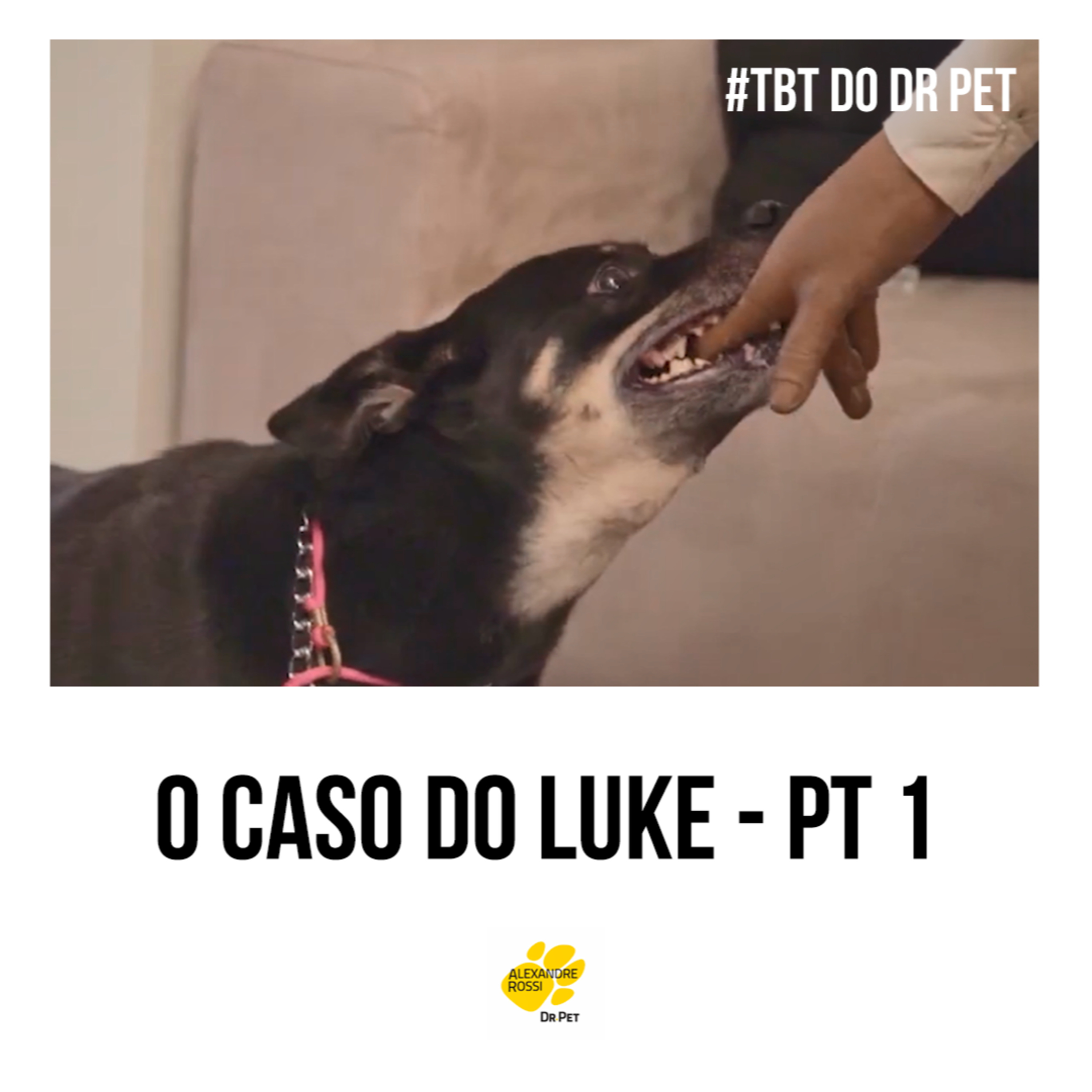 EP 216: #TBT do Dr Pet - O caso do Luke (pt 1) episode artwork