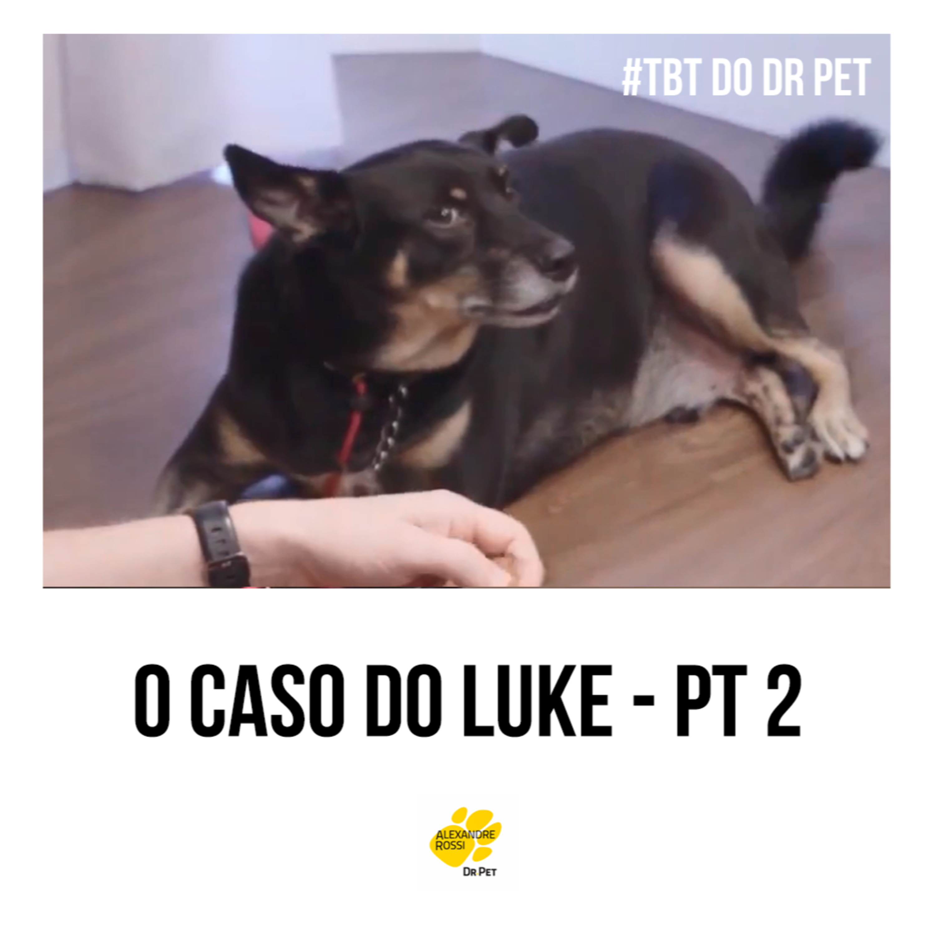 EP 217: #TBT do Dr Pet - O caso do Luke (pt 2) episode artwork