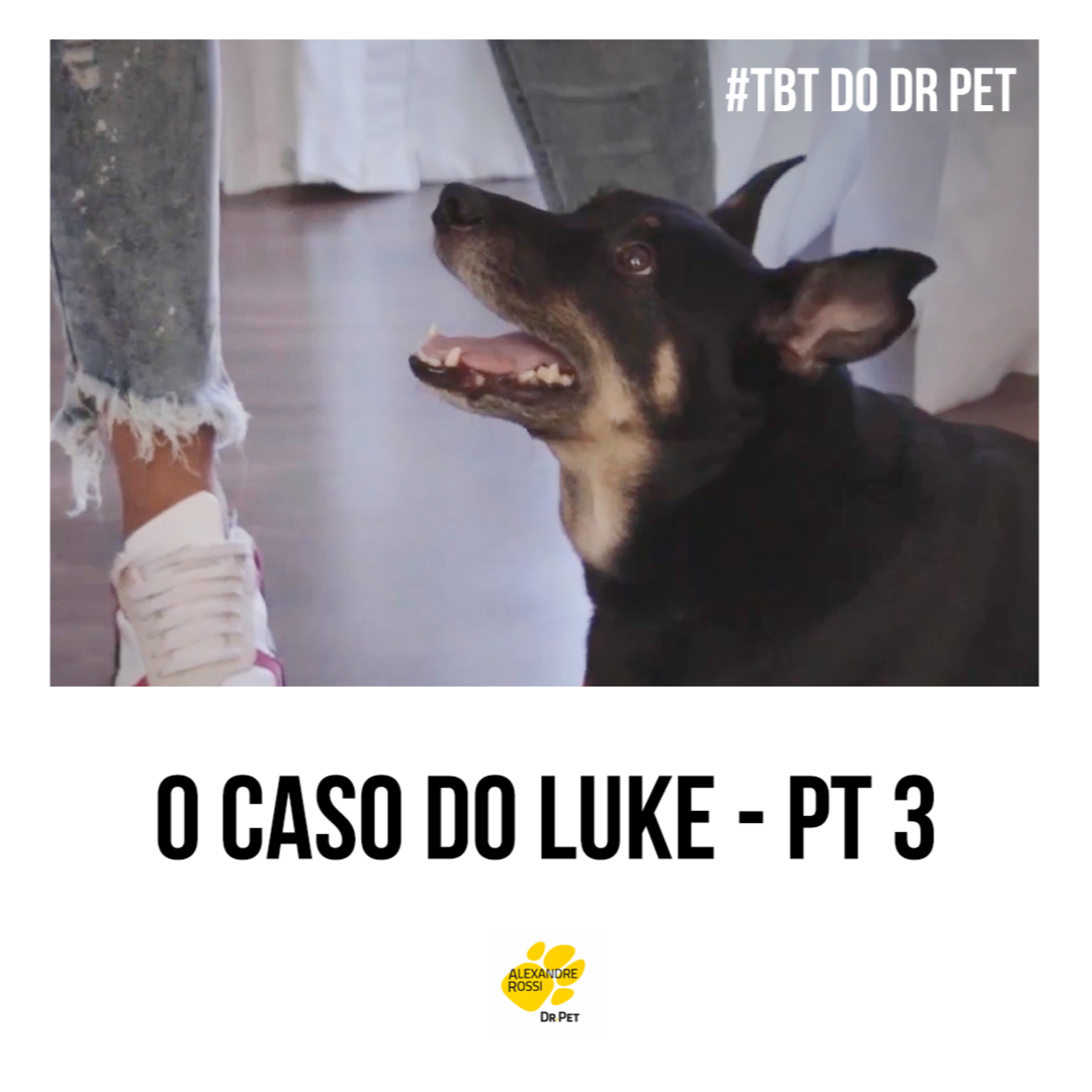 EP 218: #TBT do Dr Pet - O caso do Luke (pt 3) episode artwork