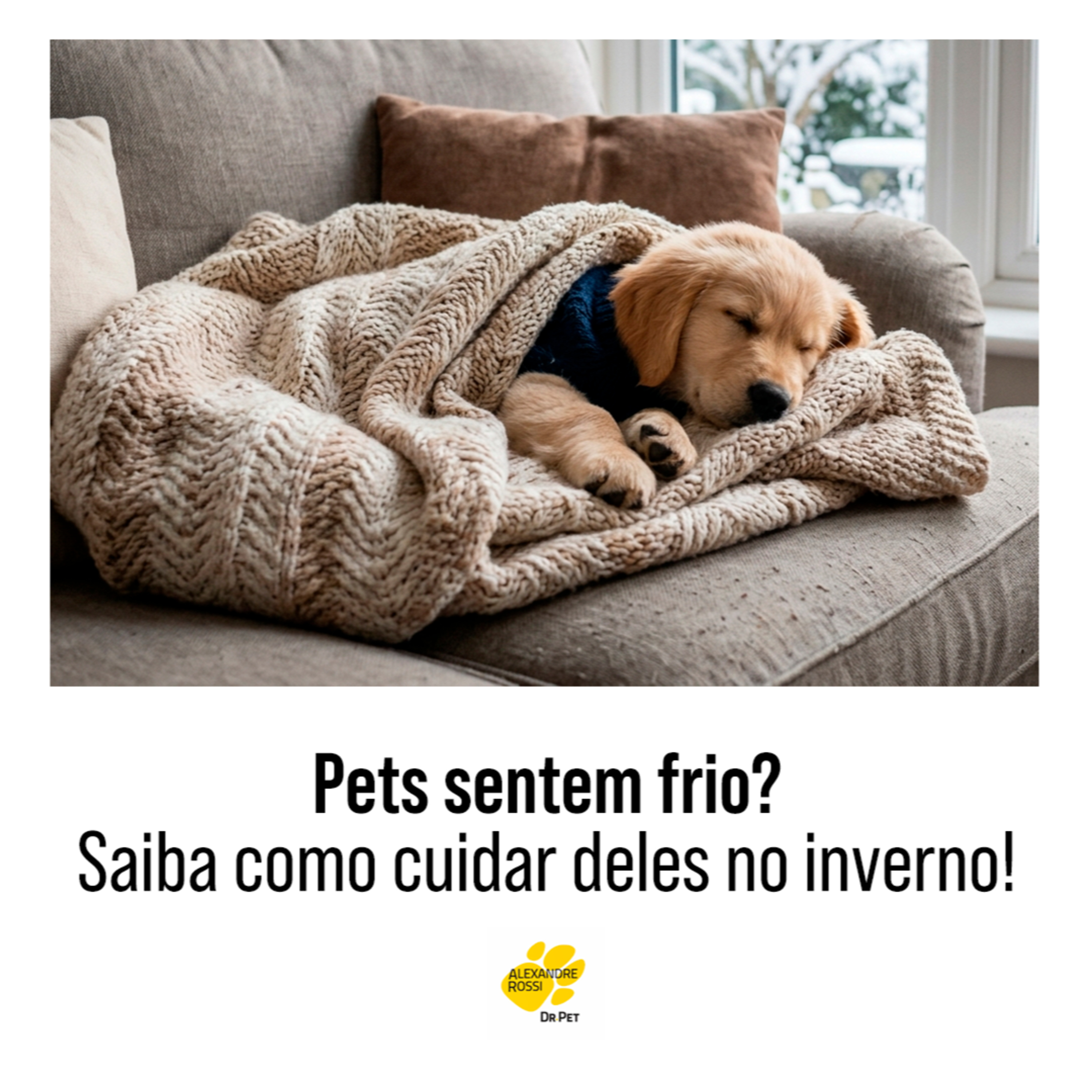 EP 224: Pets sentem frio? Saiba como cuidar deles no inverno!  episode artwork