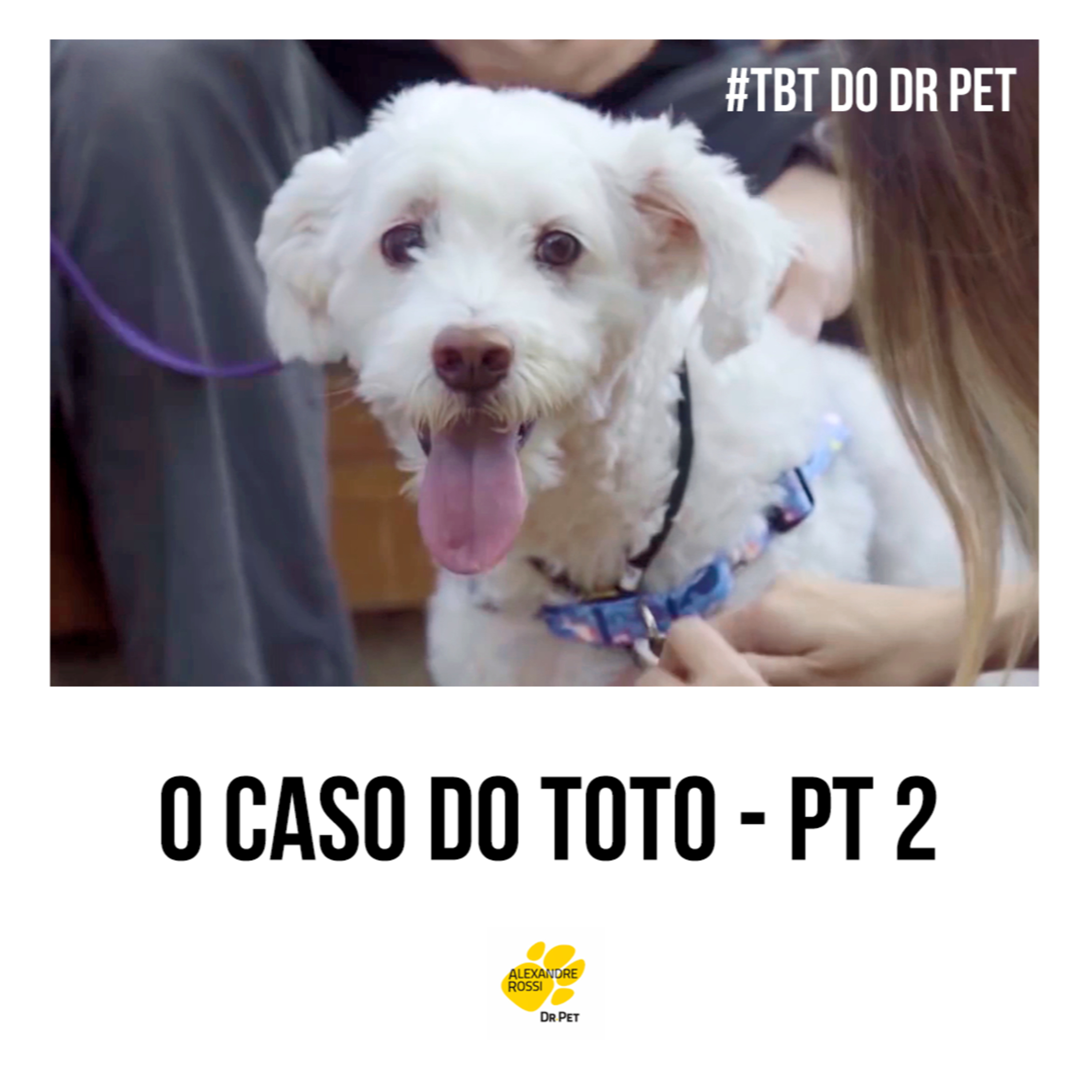 EP 226: #TBT do Dr Pet - O caso da Toto - pt 2 episode artwork