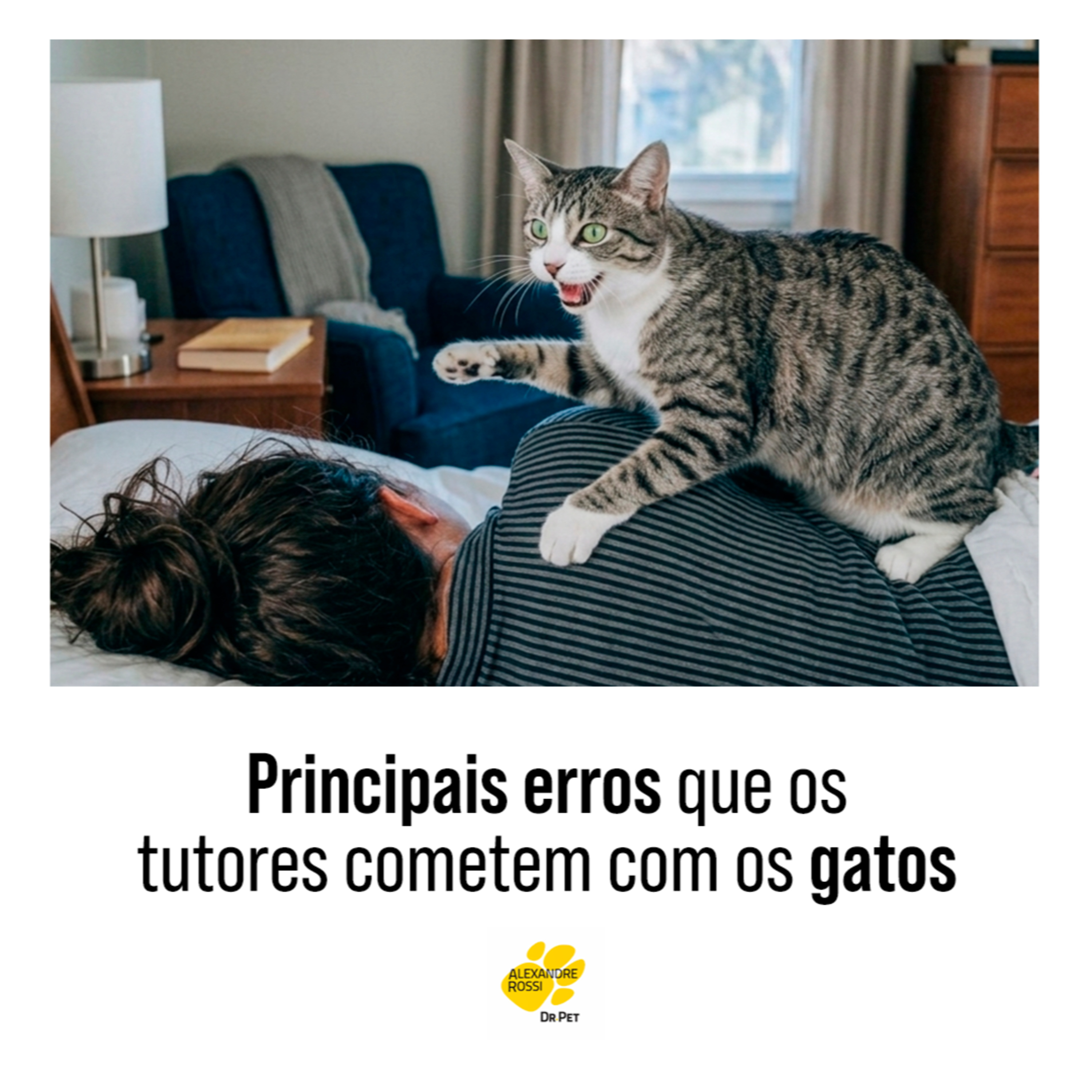 EP 228: Principais erros que os tutores cometem com os gatos episode artwork