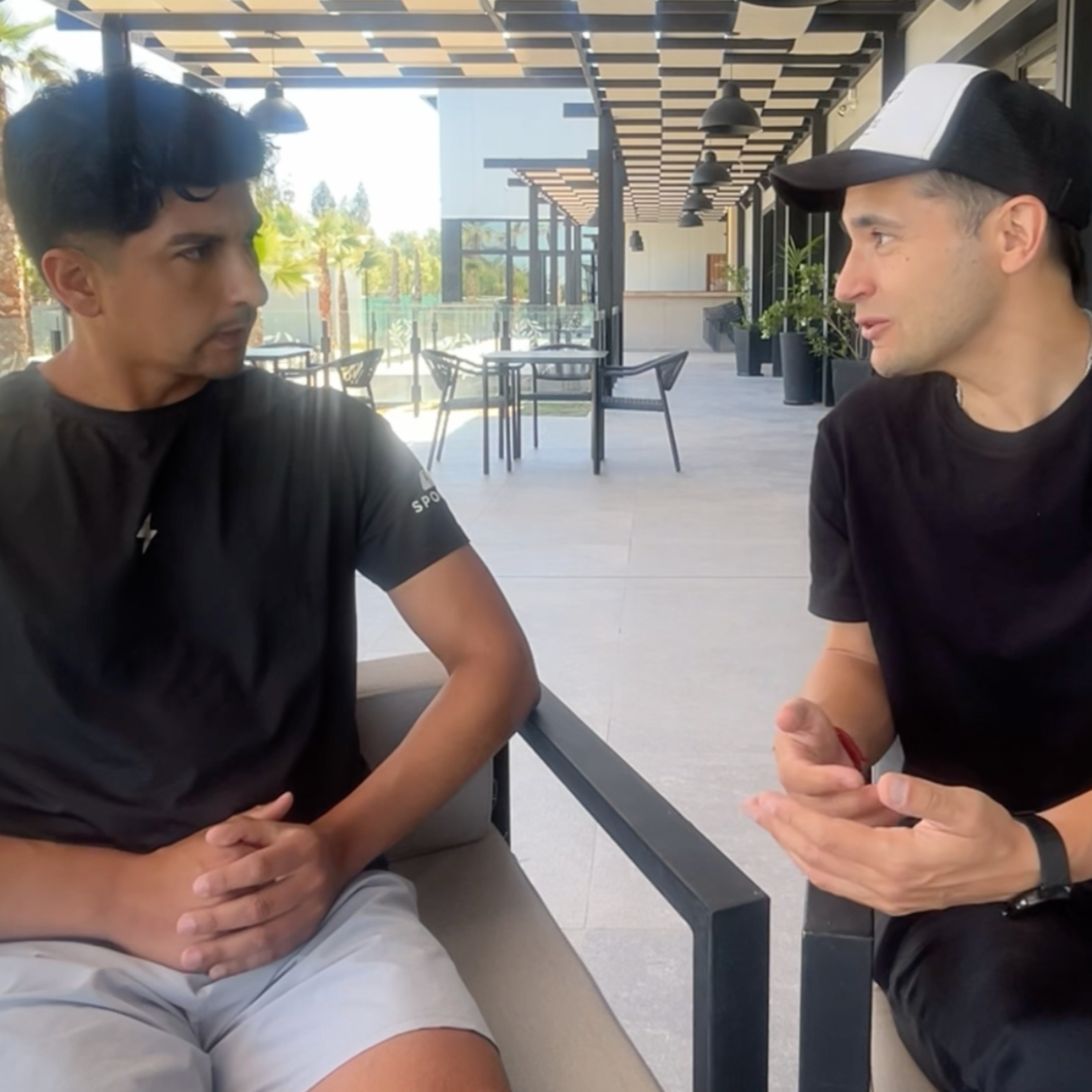 Animal de competencia