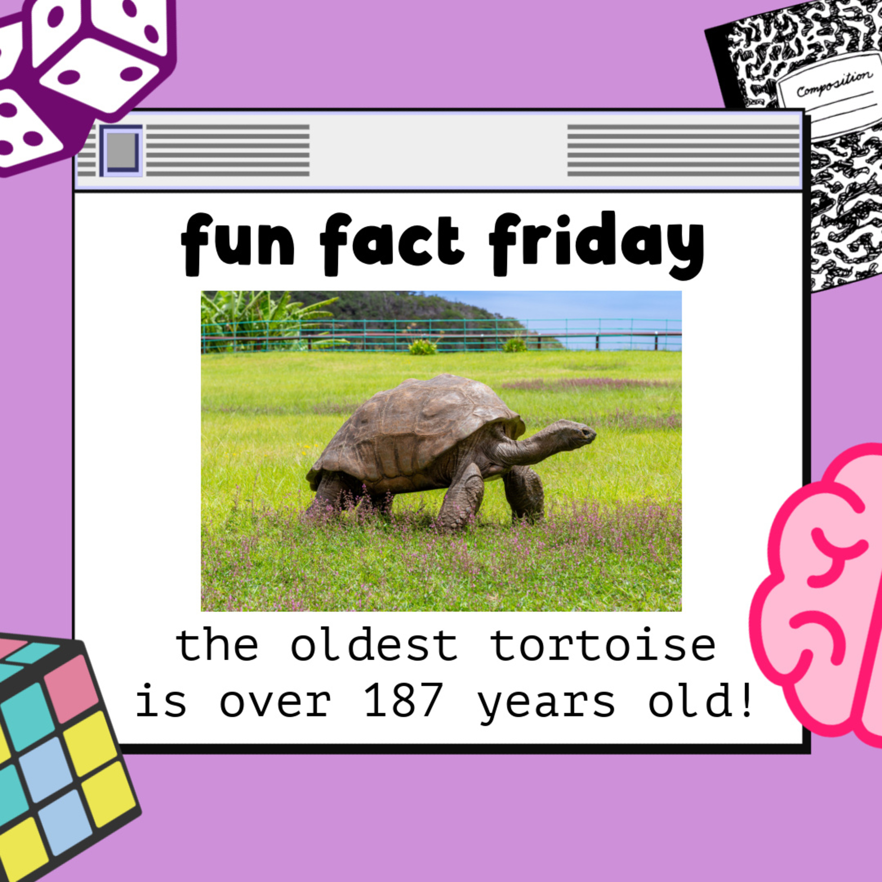 Fun Fact Friday: Jonathan, The World's Oldest Tortoise is over 187 Years Old!