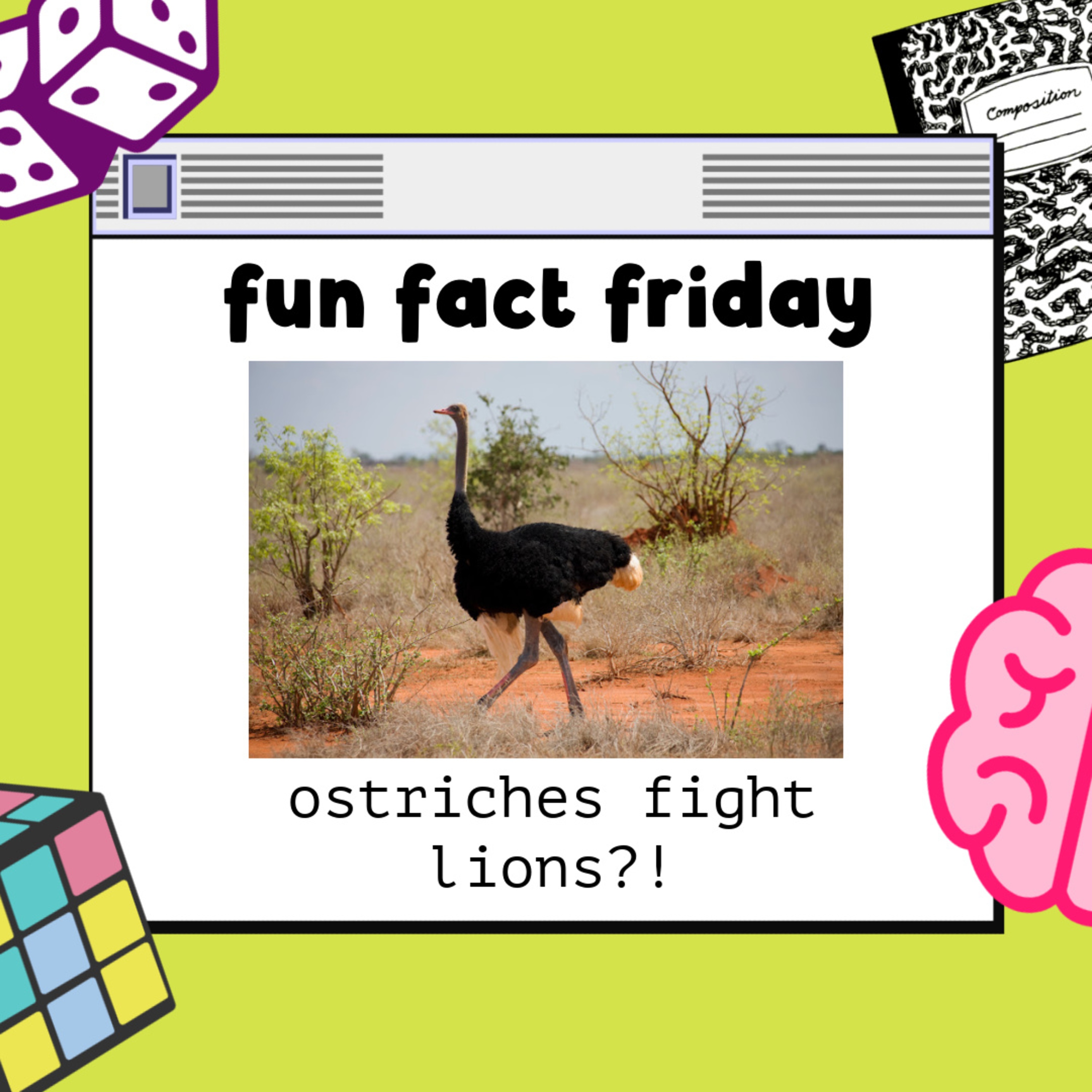 Fun Fact Friday: Ostriches Can Fight Lions?!