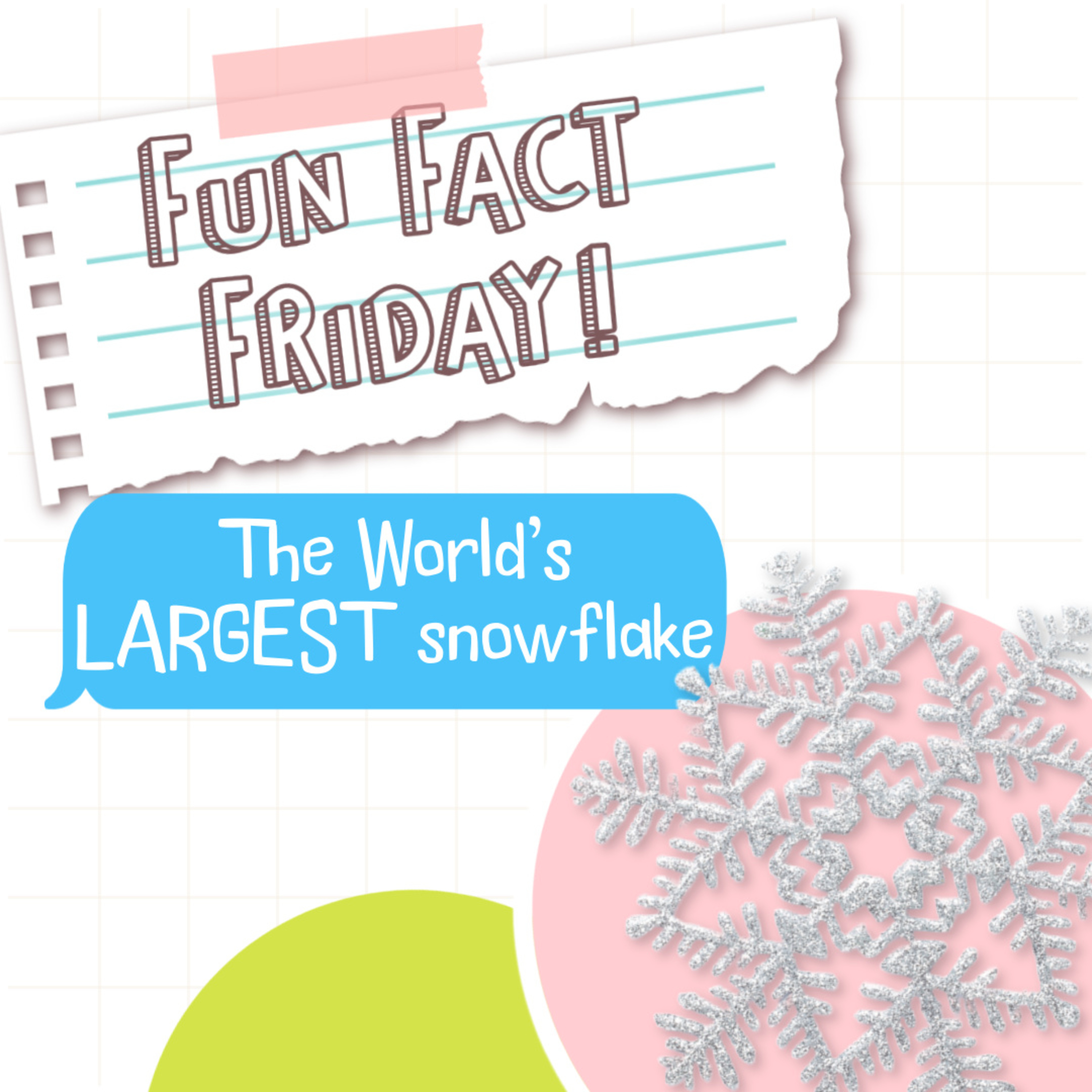 Fun Fact Friday: The World's Largest Snowflake! 