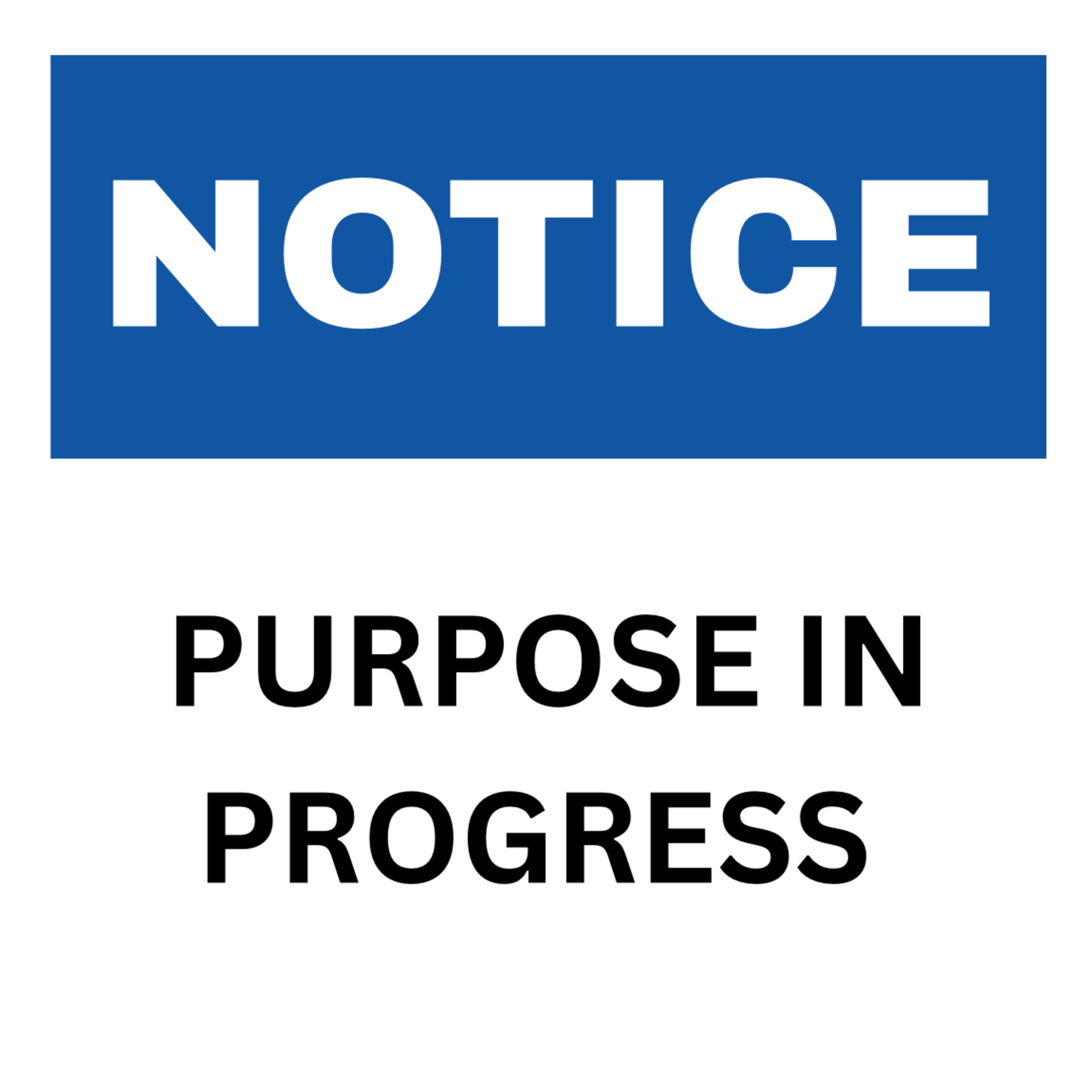 Purpose In Progress episode artwork