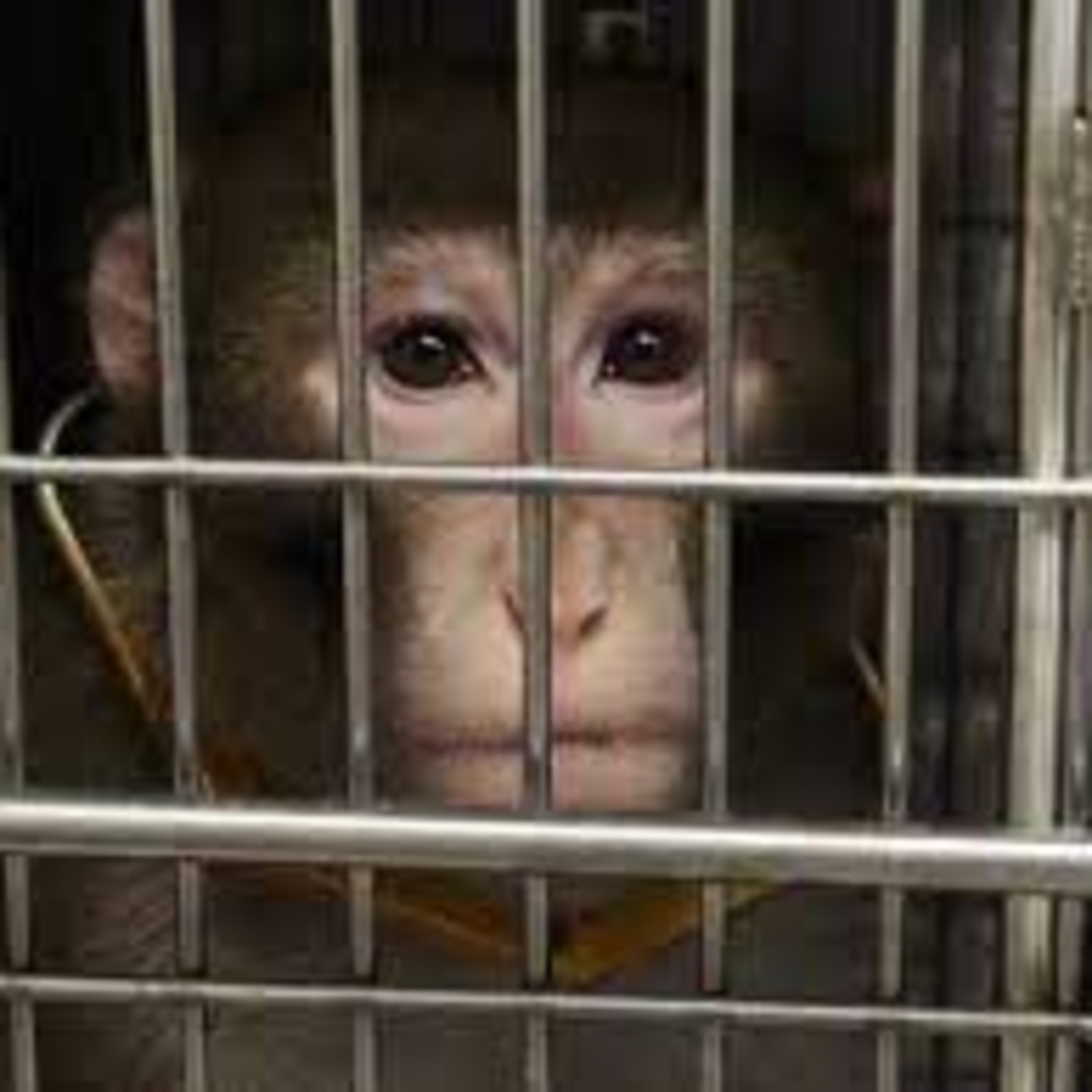 Brett Keane | GodTvRadio