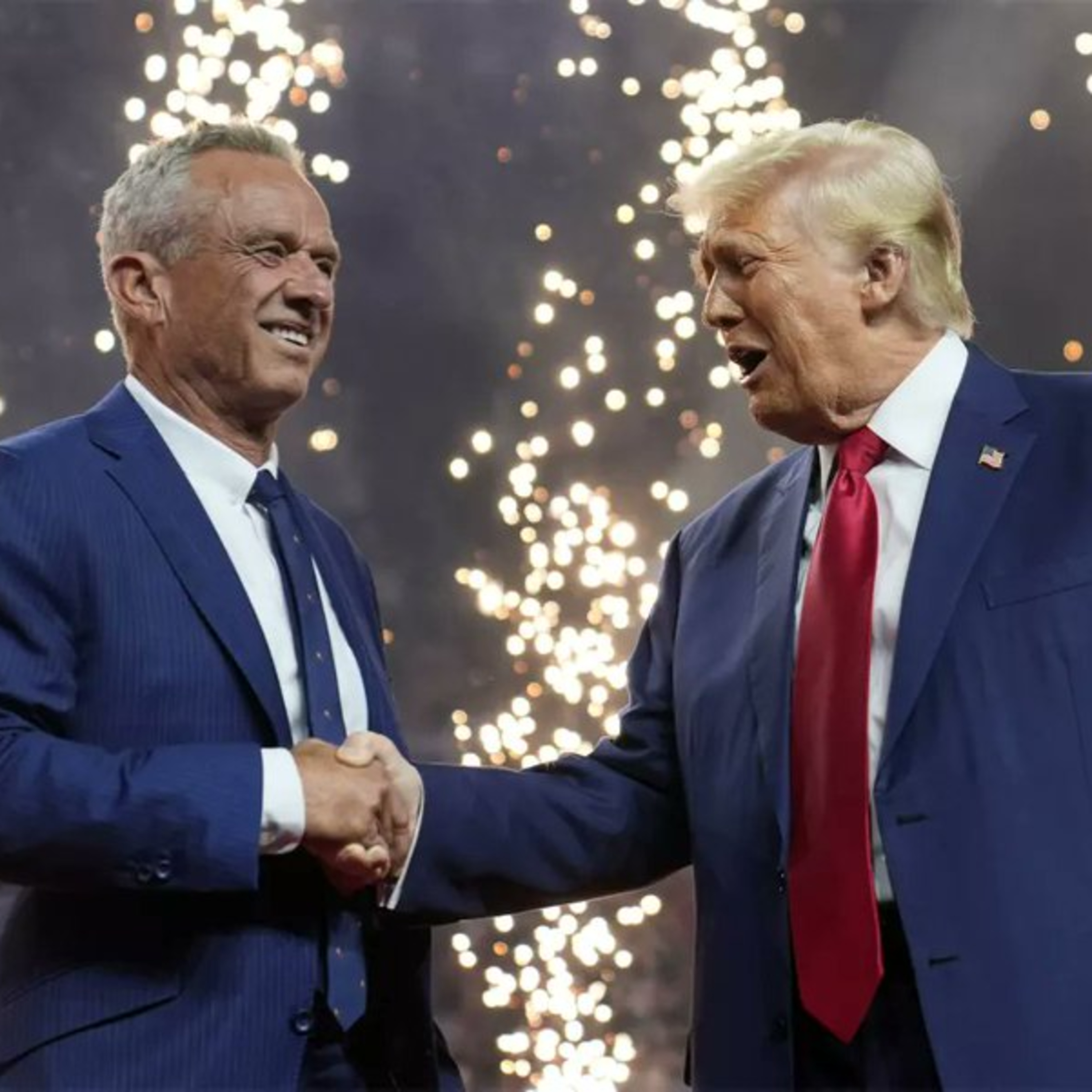 Robert F. Kennedy Jr Let's Finish This