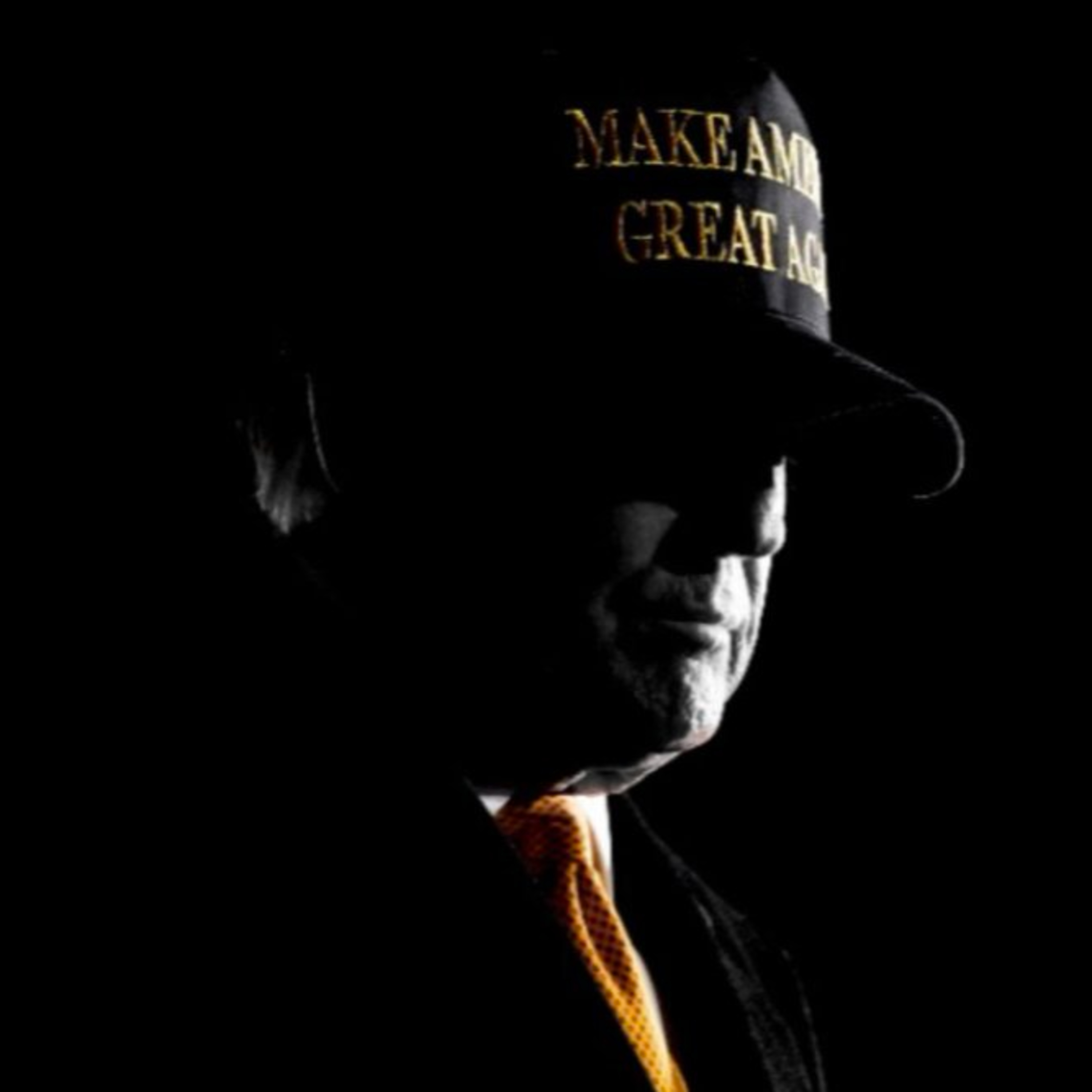 Donald Trump Rally in New York City at Madison Square Garden episode artwork