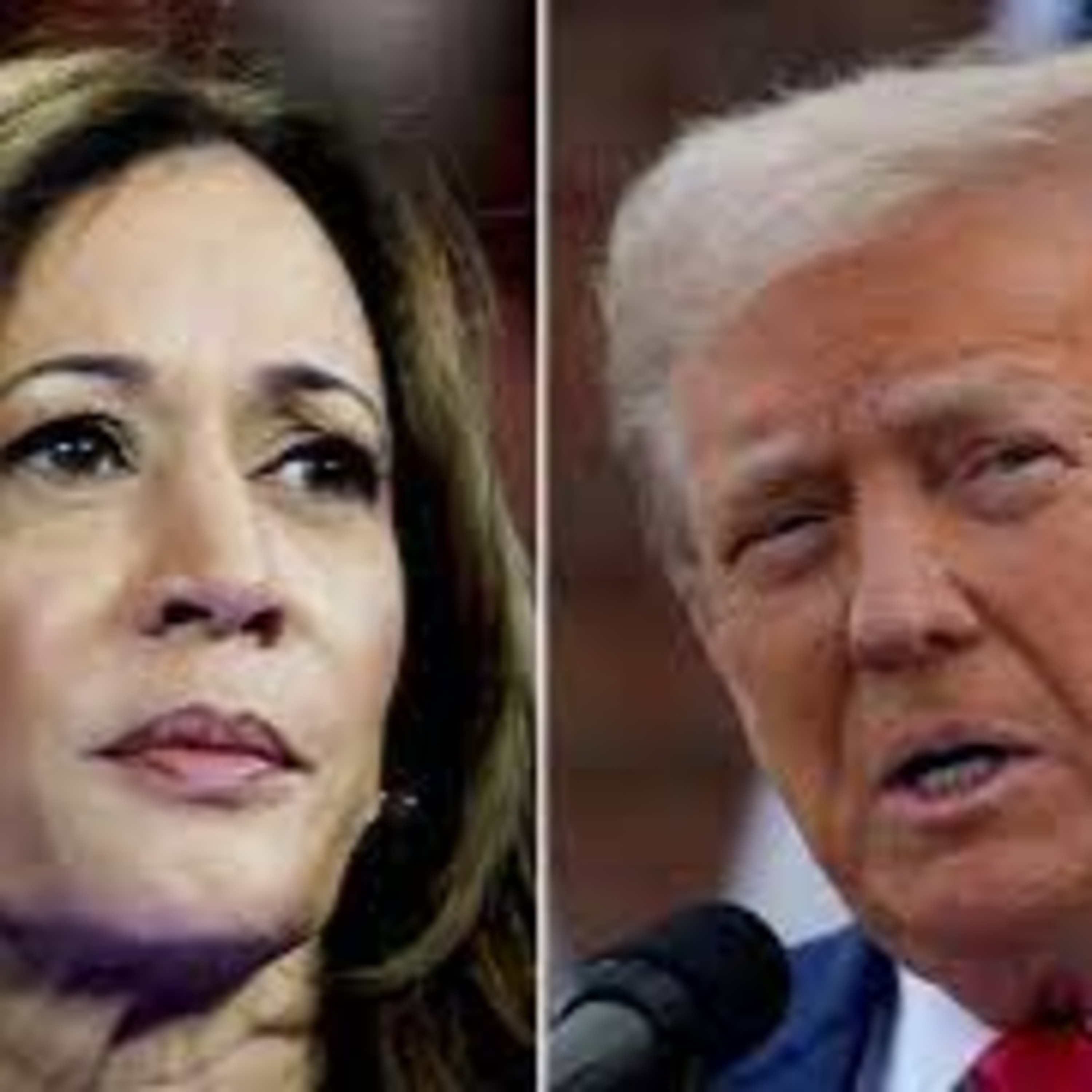 Trump VS Harris - Who Gets The Vote? episode artwork