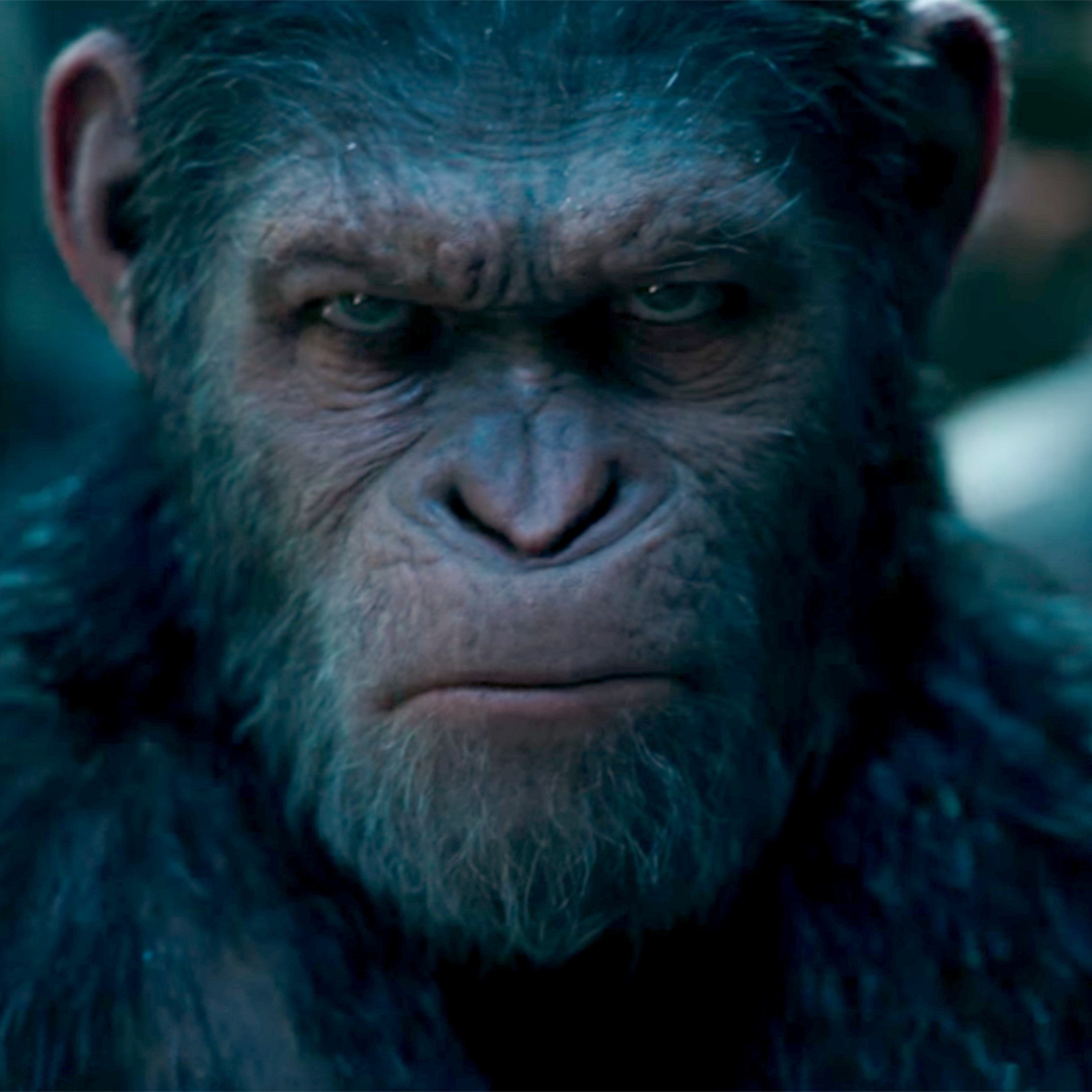 Brett Keane | GodTvRadio