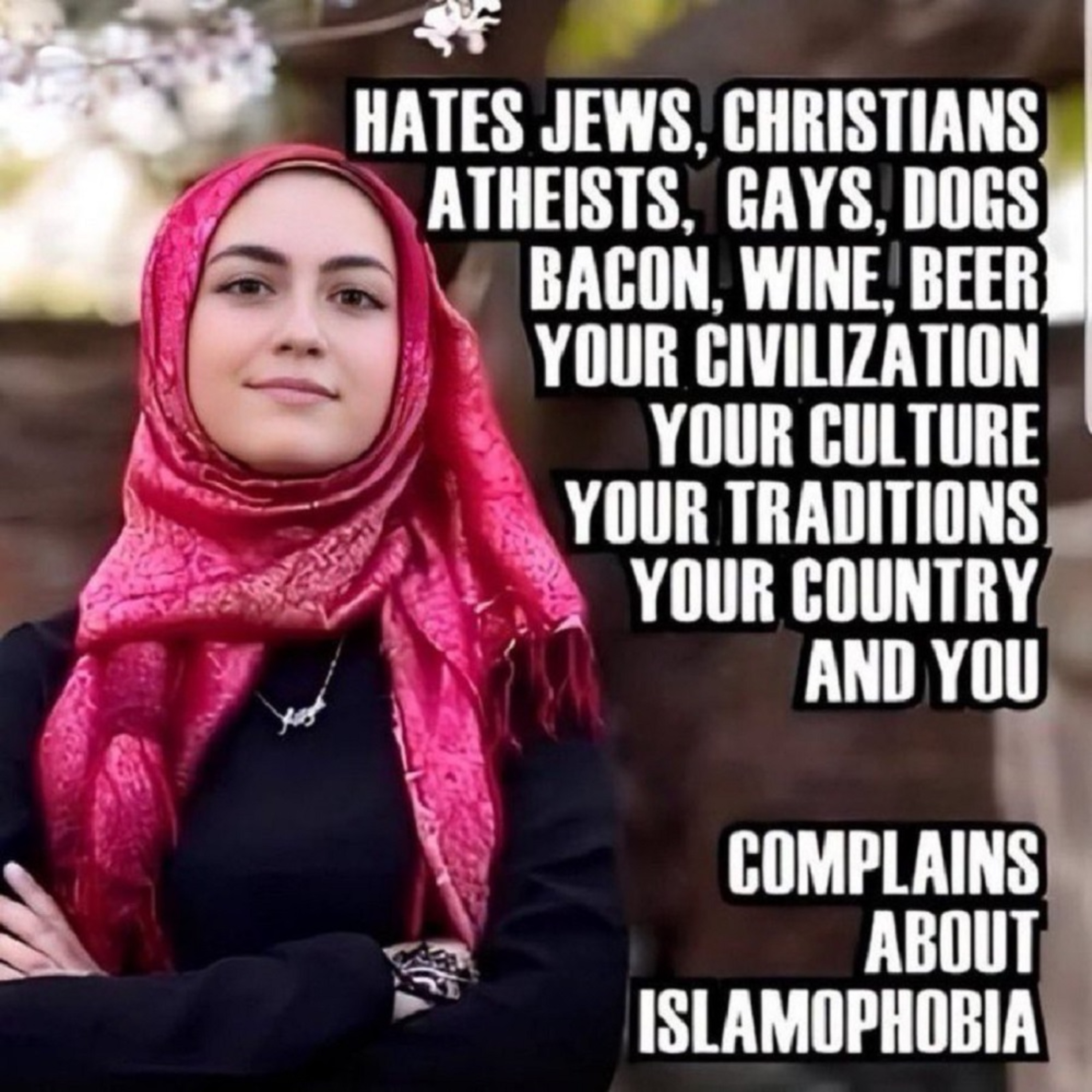 Evil White People, Trans Turtles, Muslim Invaders, Segregation, Politicians Who Push Violence episode artwork