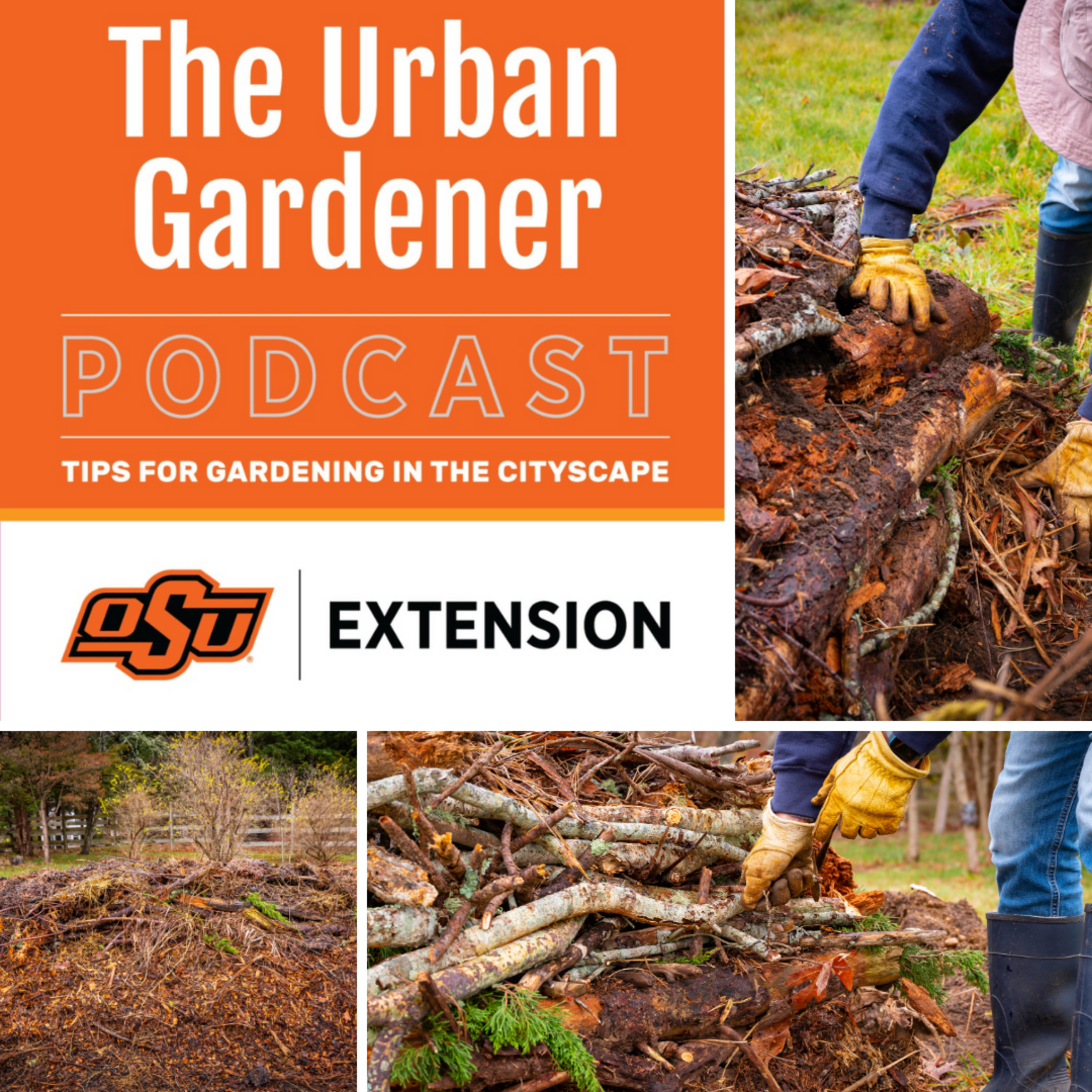 Episode 26: Hügelkultur Gardening episode artwork