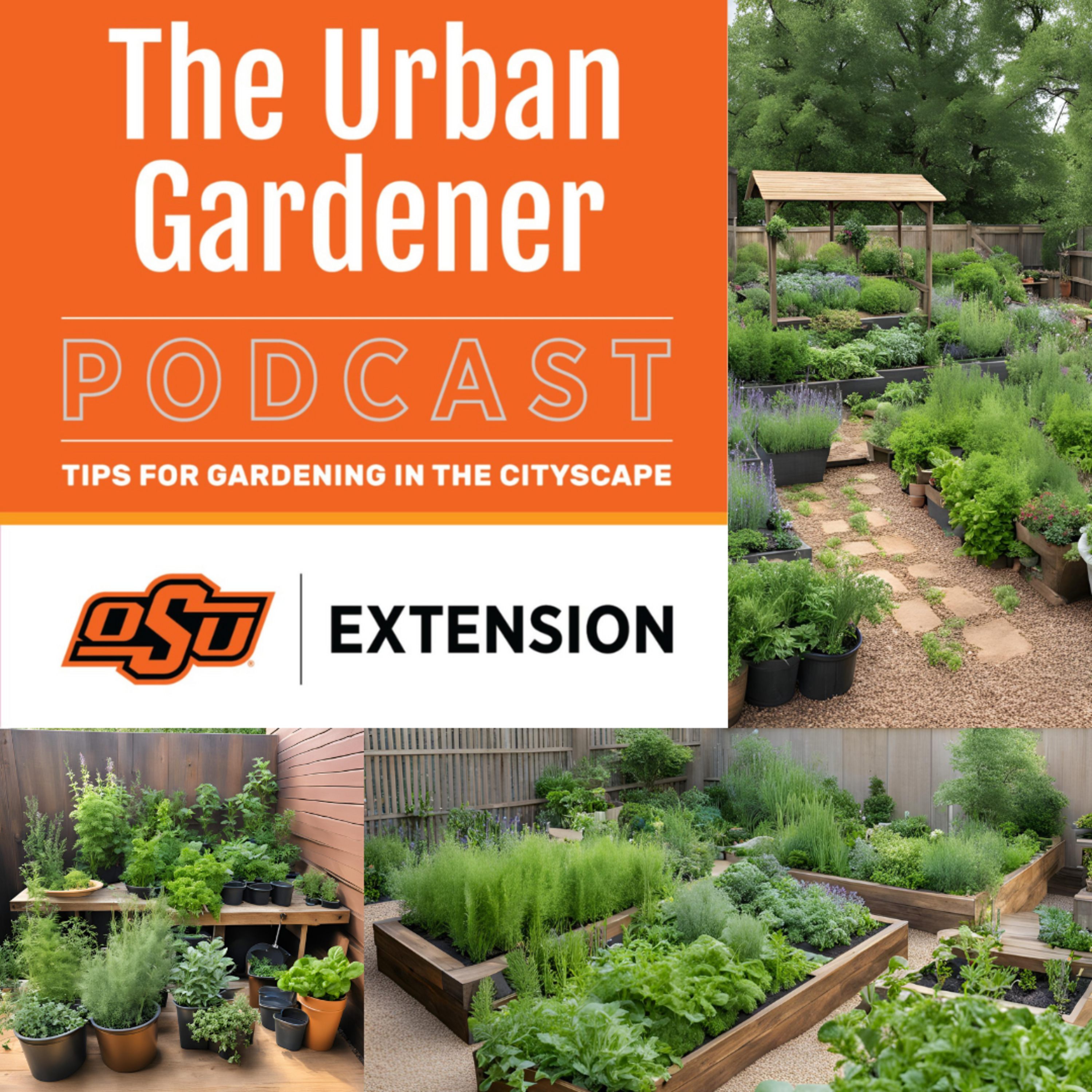 Episode 40: Growing a Herbal Haven