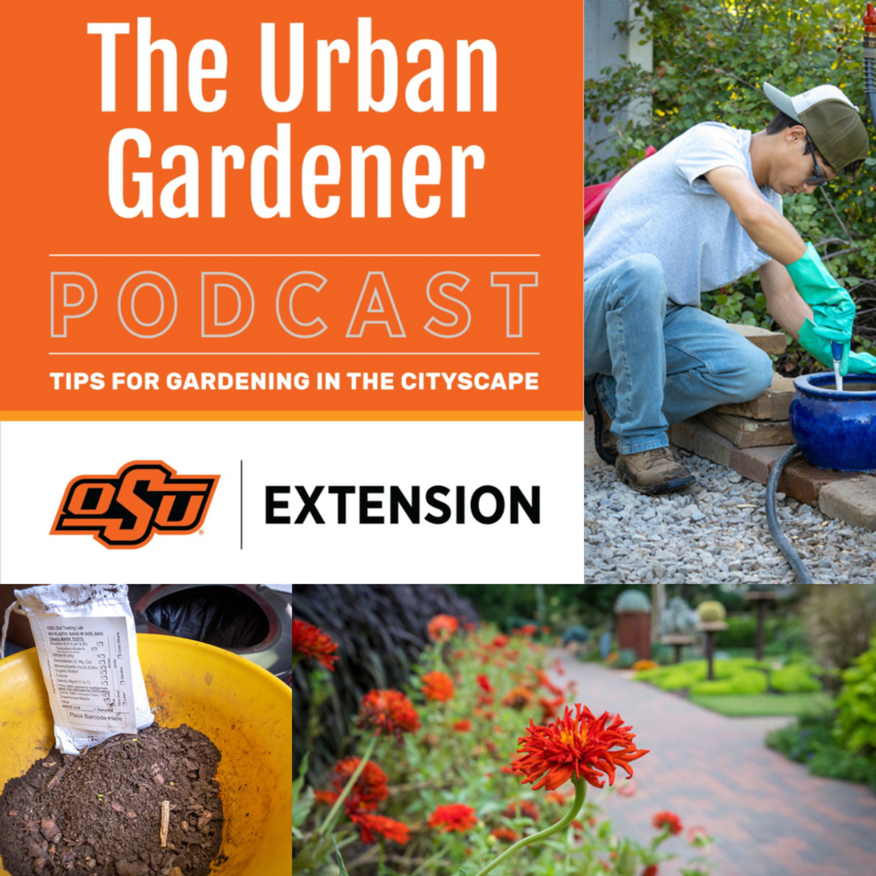 Episode 45: Spring Cleaning