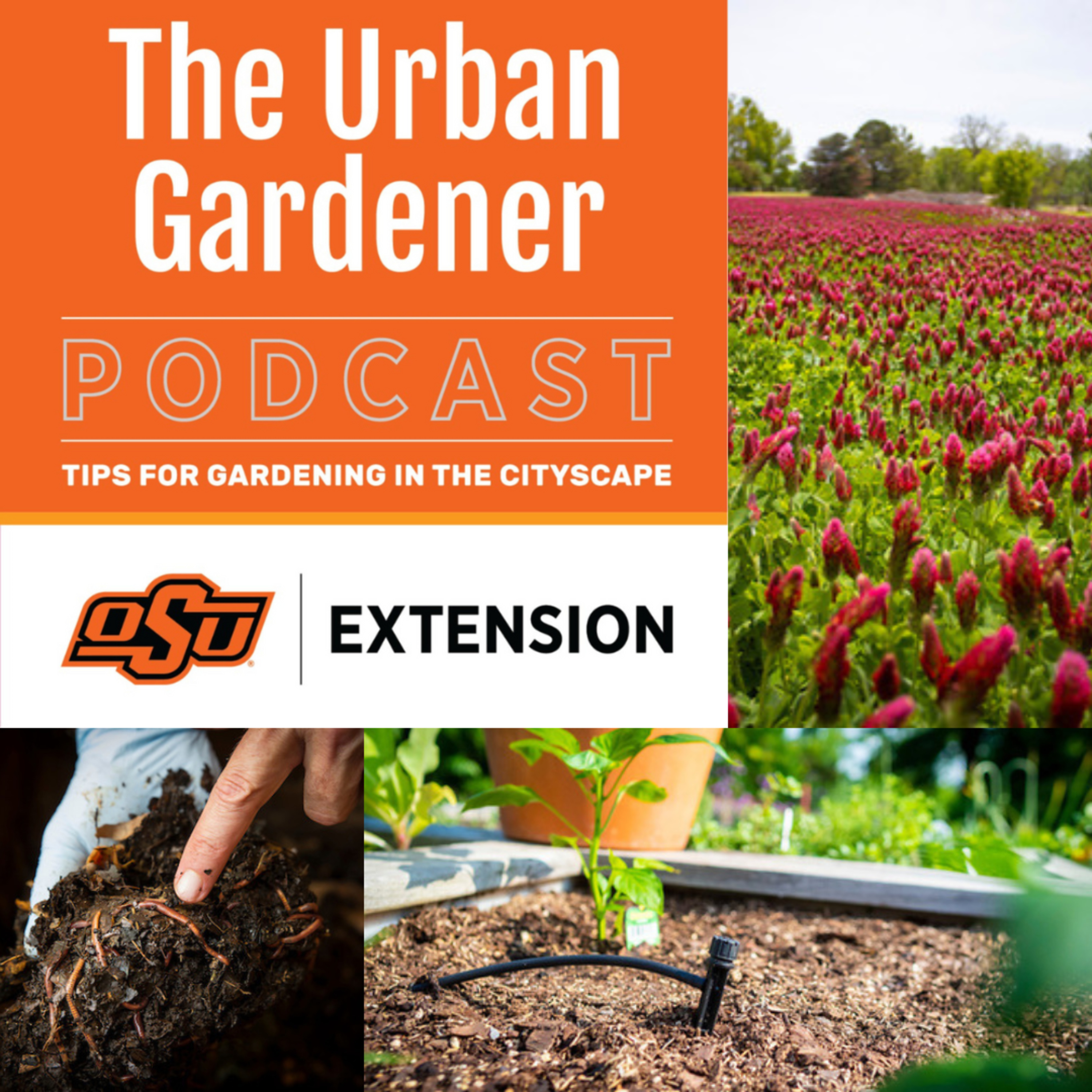 Episode 46: Holding On to Every Drop