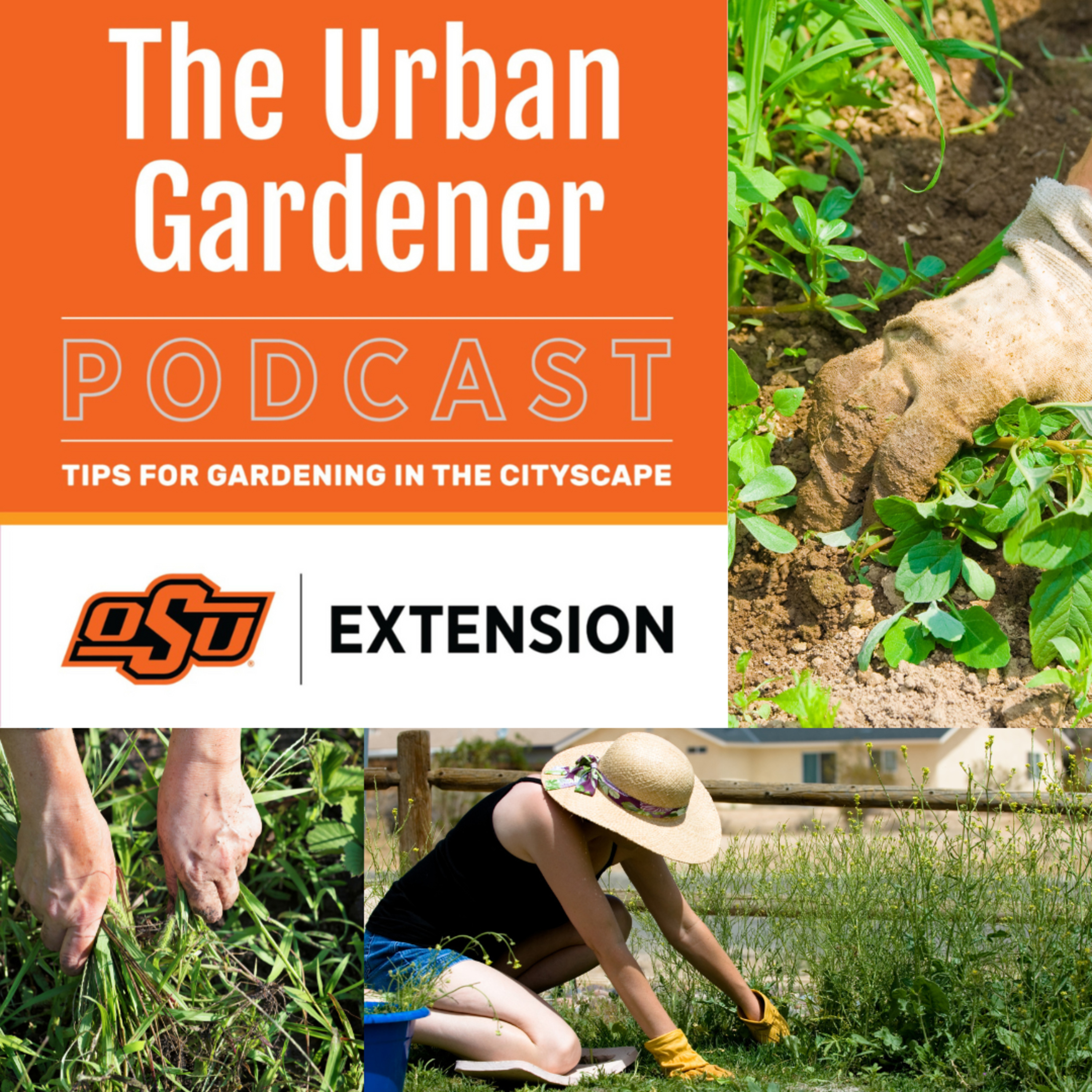 Episode 48: In the Weeds