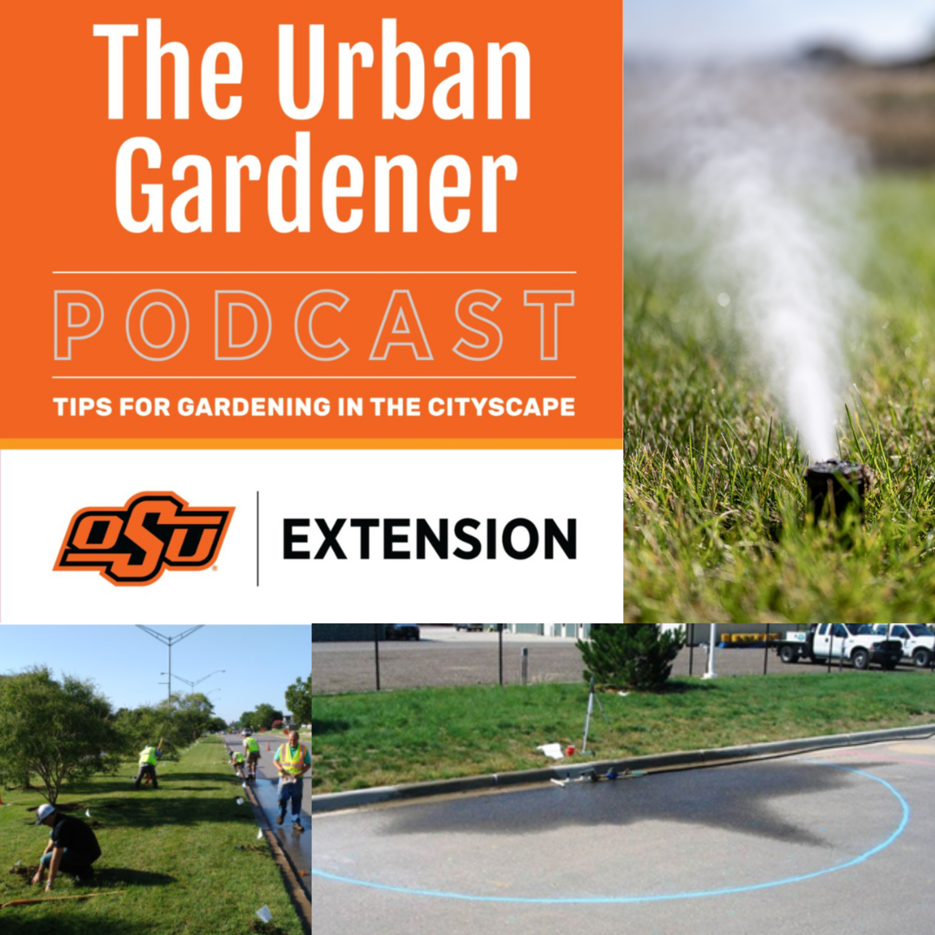 Episode 49: The Pressure Is On! 