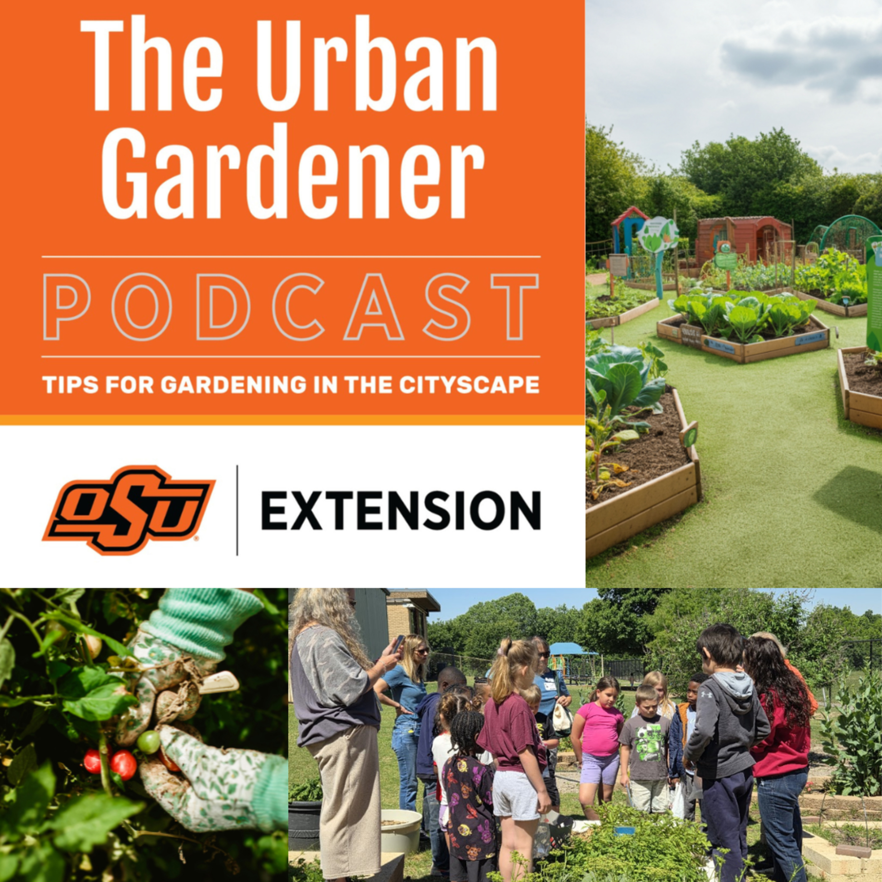 Episode 61: School and Community Gardens episode artwork