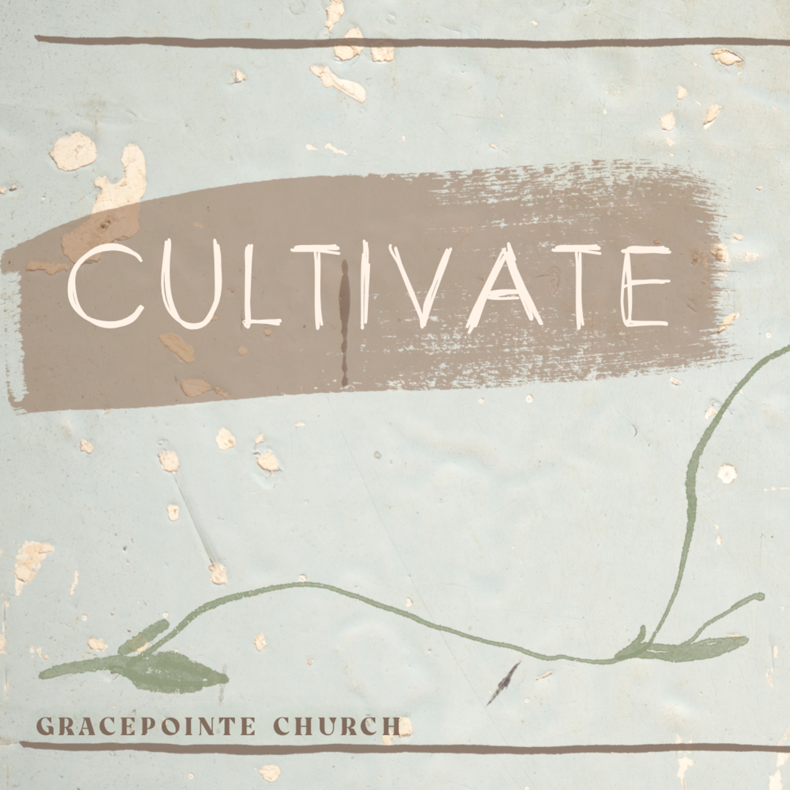 GracePointe Church | Nashville, TN