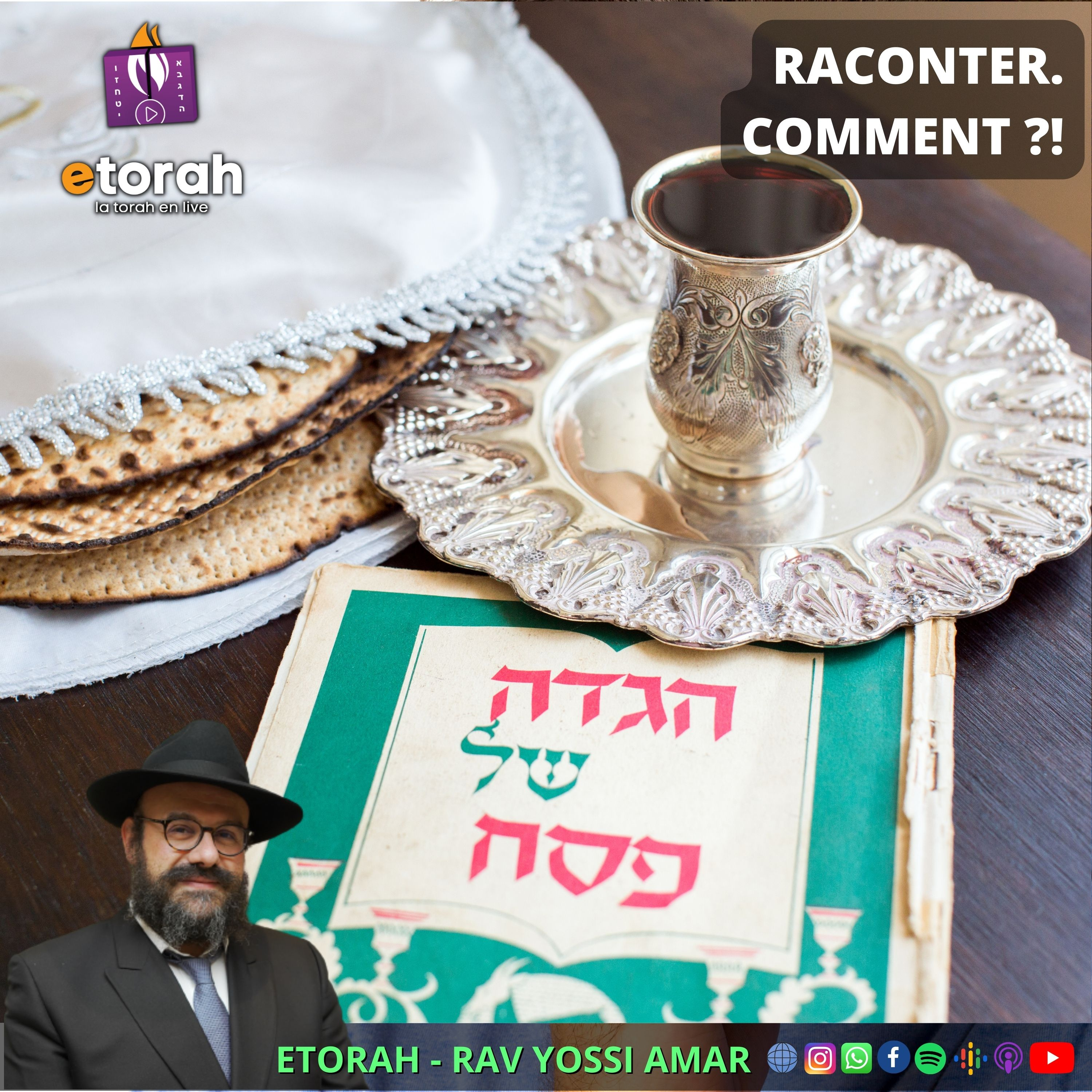 Pessah - La Hagada commentée par le Rabbi de Loubavitch #9: Comment surmonter les dix plaies ? episode artwork