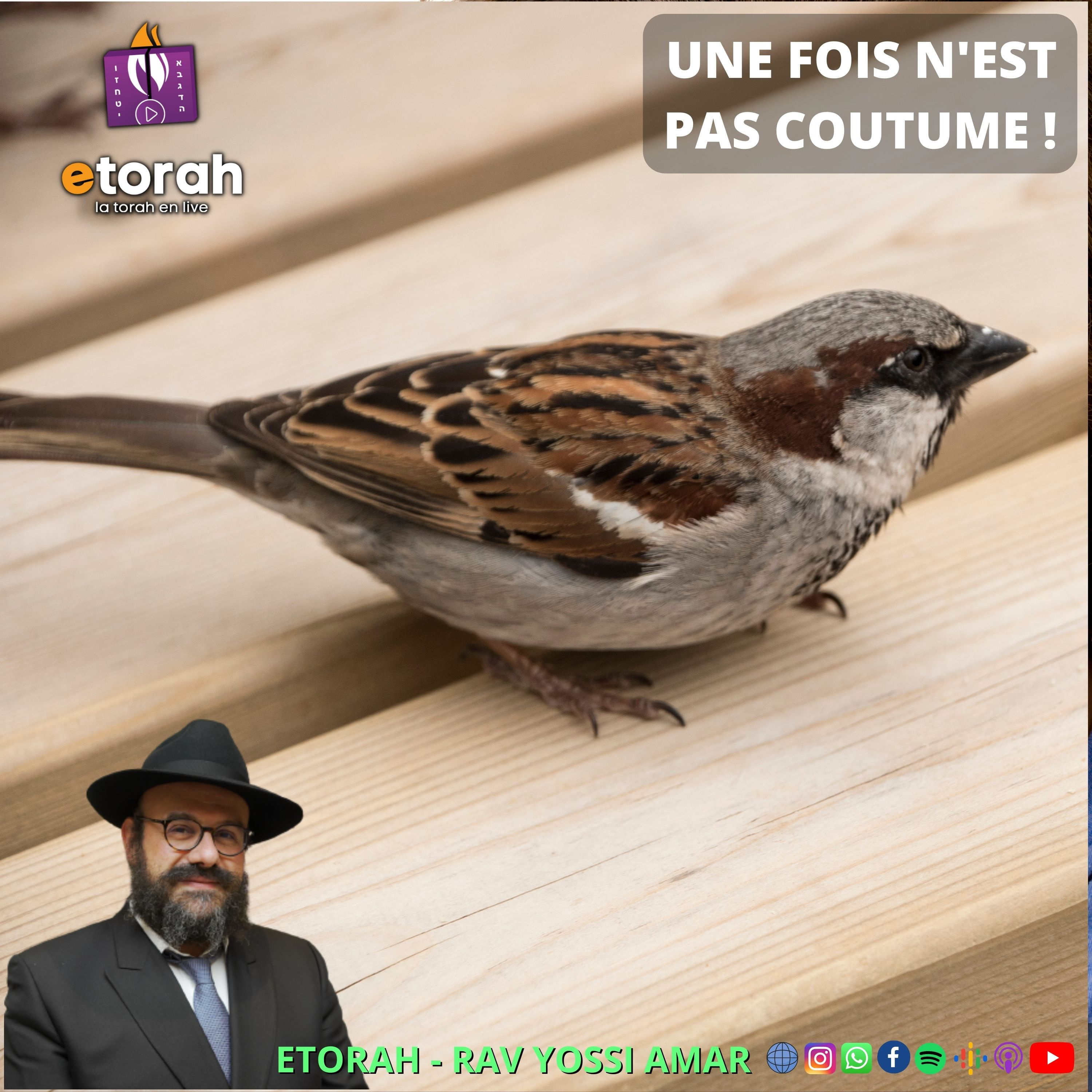 Nasso - Chavouot : C'est une coutume chez... Mais d'où tu sors cette coutume ?! Quelle est sa source ? episode artwork