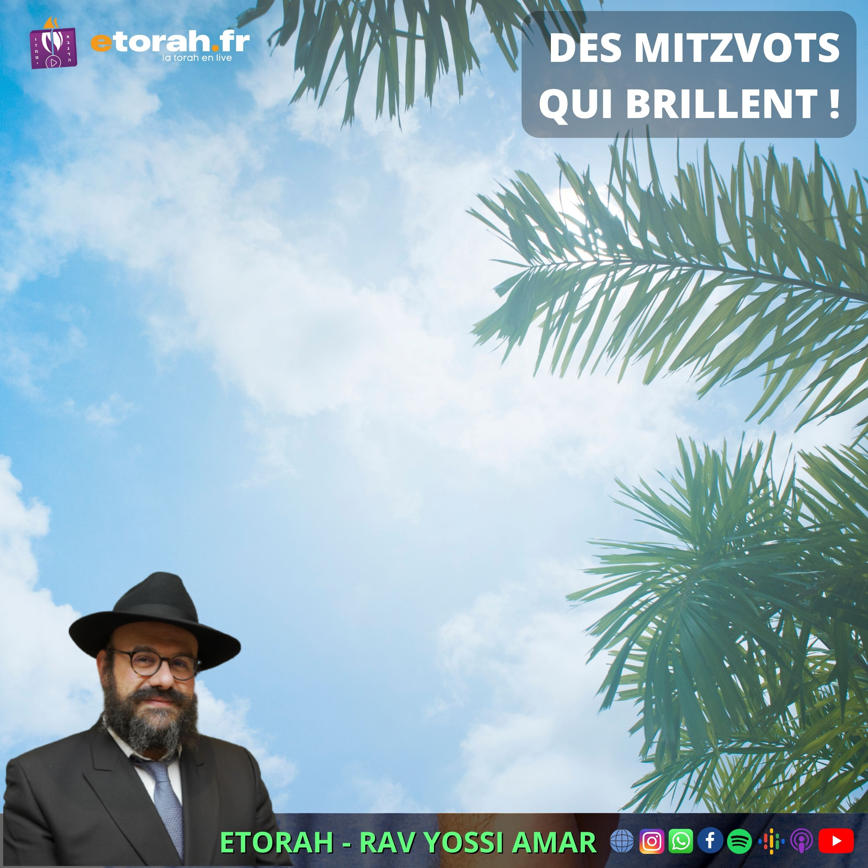 Korah - 3 Tamouz hiloula du Rabbi : Pourquoi l’importance de s’attacher aux chefs d’Israël ?! episode artwork