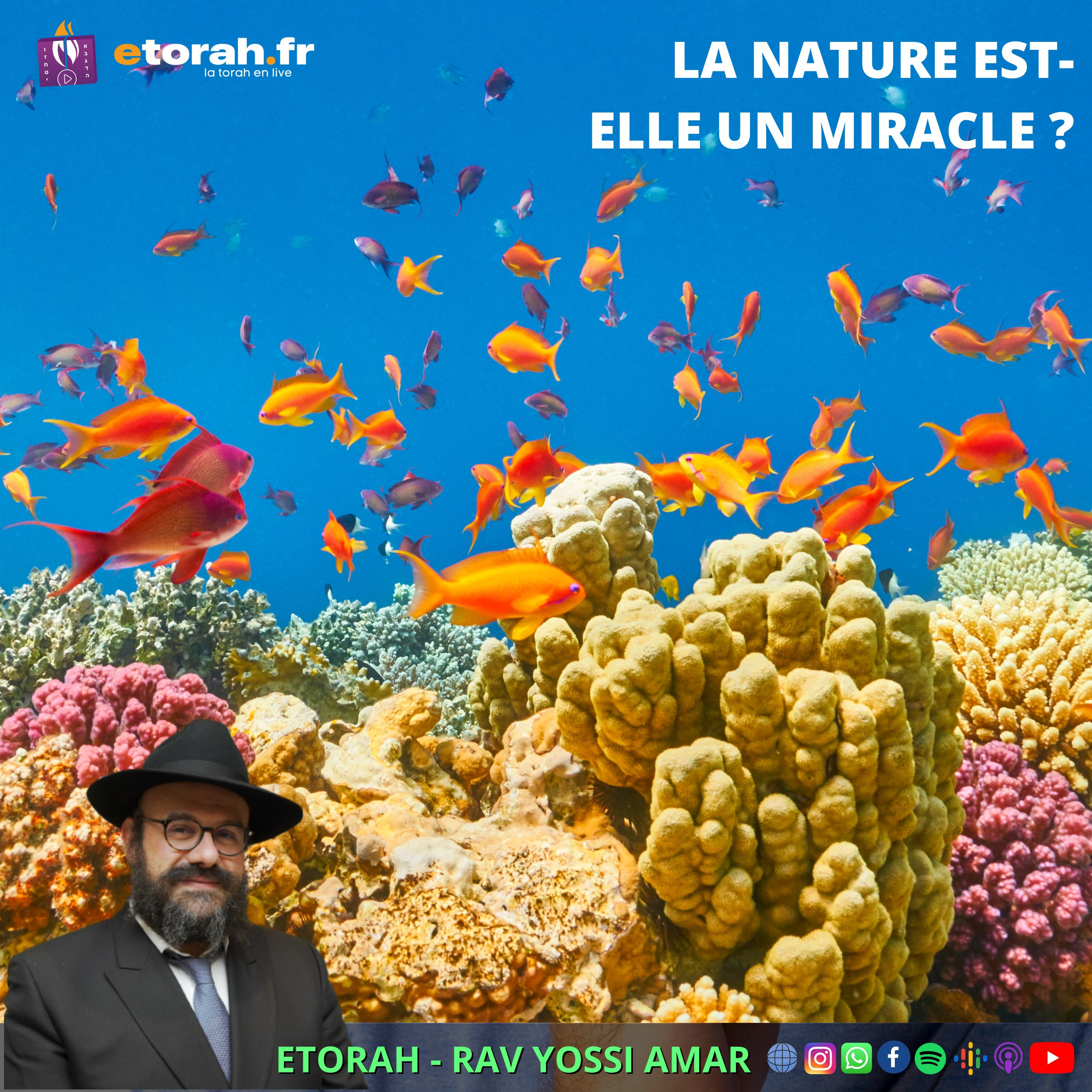 Chaar Hayi'houd véhaémouna #9 Ch. 2.1: La nature est-elle un miracle ? Qui dirige le monde, D.ieu ?