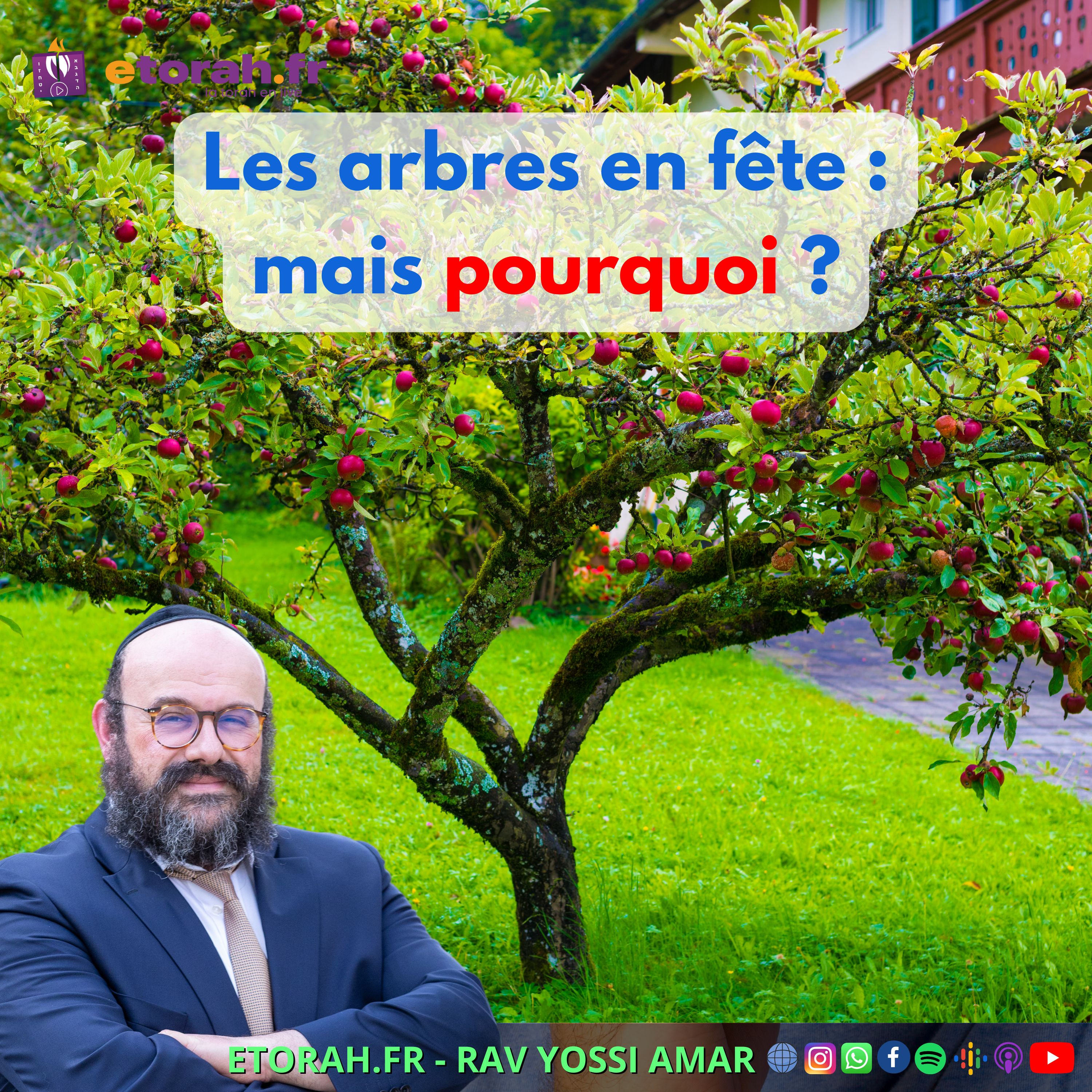 Tou Bichevat : Pourquoi célébrer l’arbre et pas les animaux ? Ce qu’il nous enseigne sur la vie