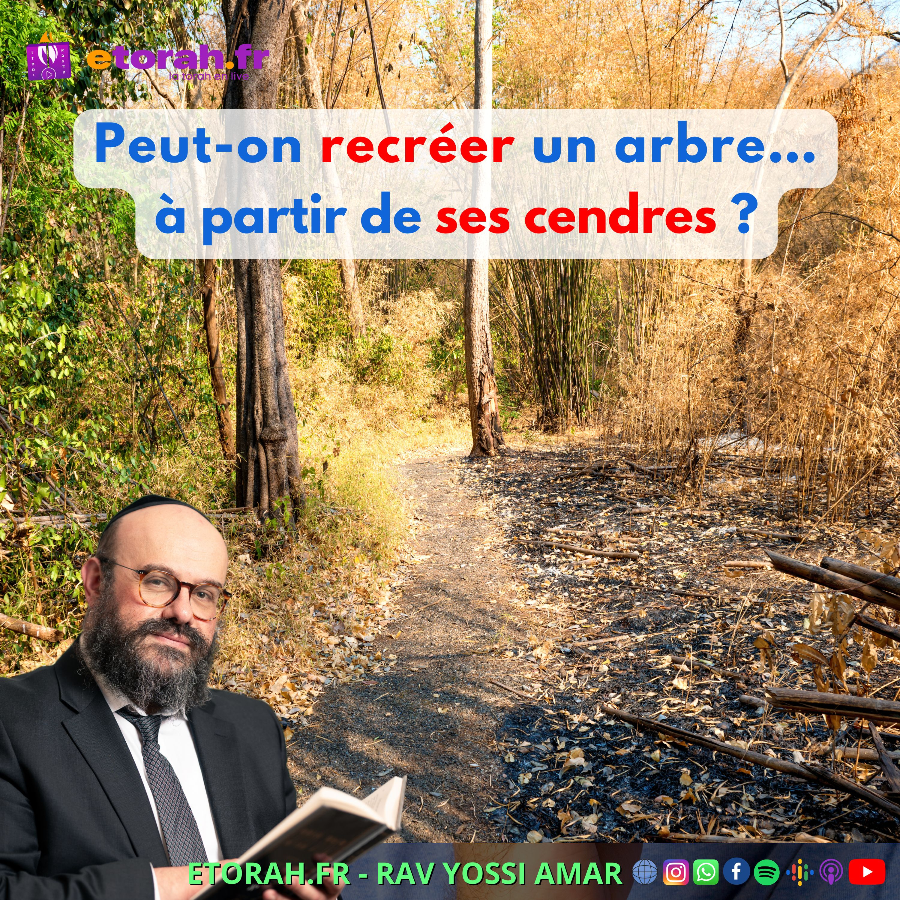 Iguérèt HaKodech Ch. 15 #1: Peut-on recréer un arbre… à partir de ses cendres ? episode artwork