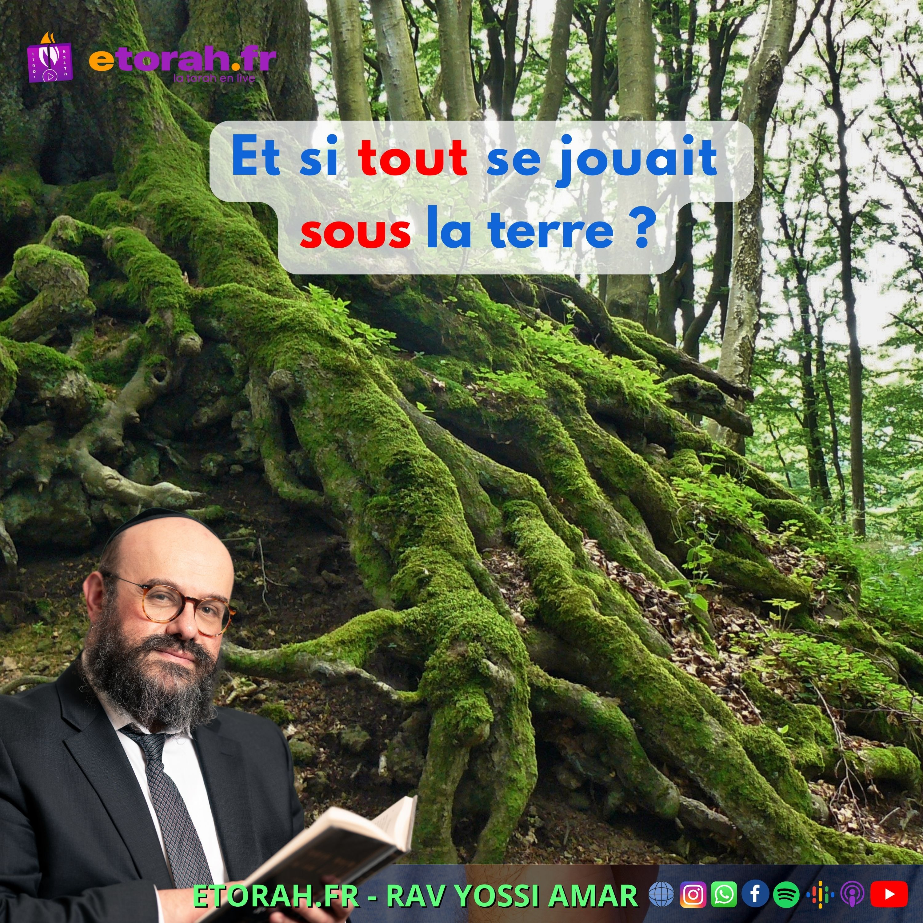 Tou bichevat: Des fruits, oui… mais qui nourrit votre racine ? Et si tout se jouait sous la terre ? episode artwork
