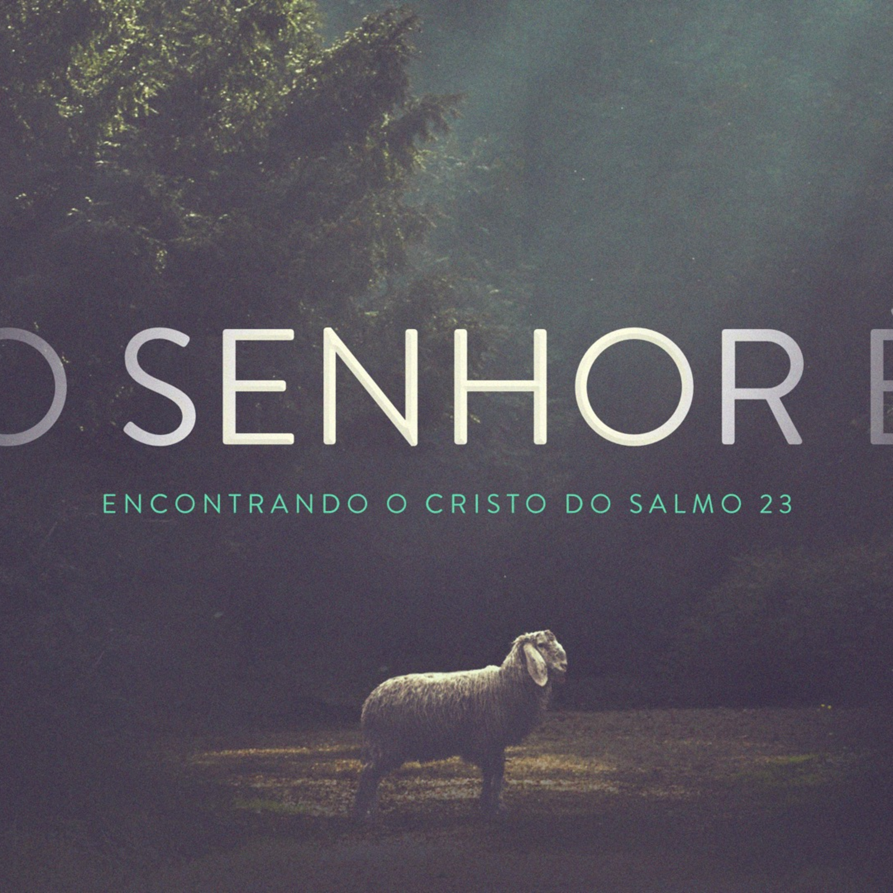 O Senhor é Pastor - Encontrando o Cristo do Salmo 23 - Rev. Lacy Campos - 01 de fevereiro de 2026 episode artwork