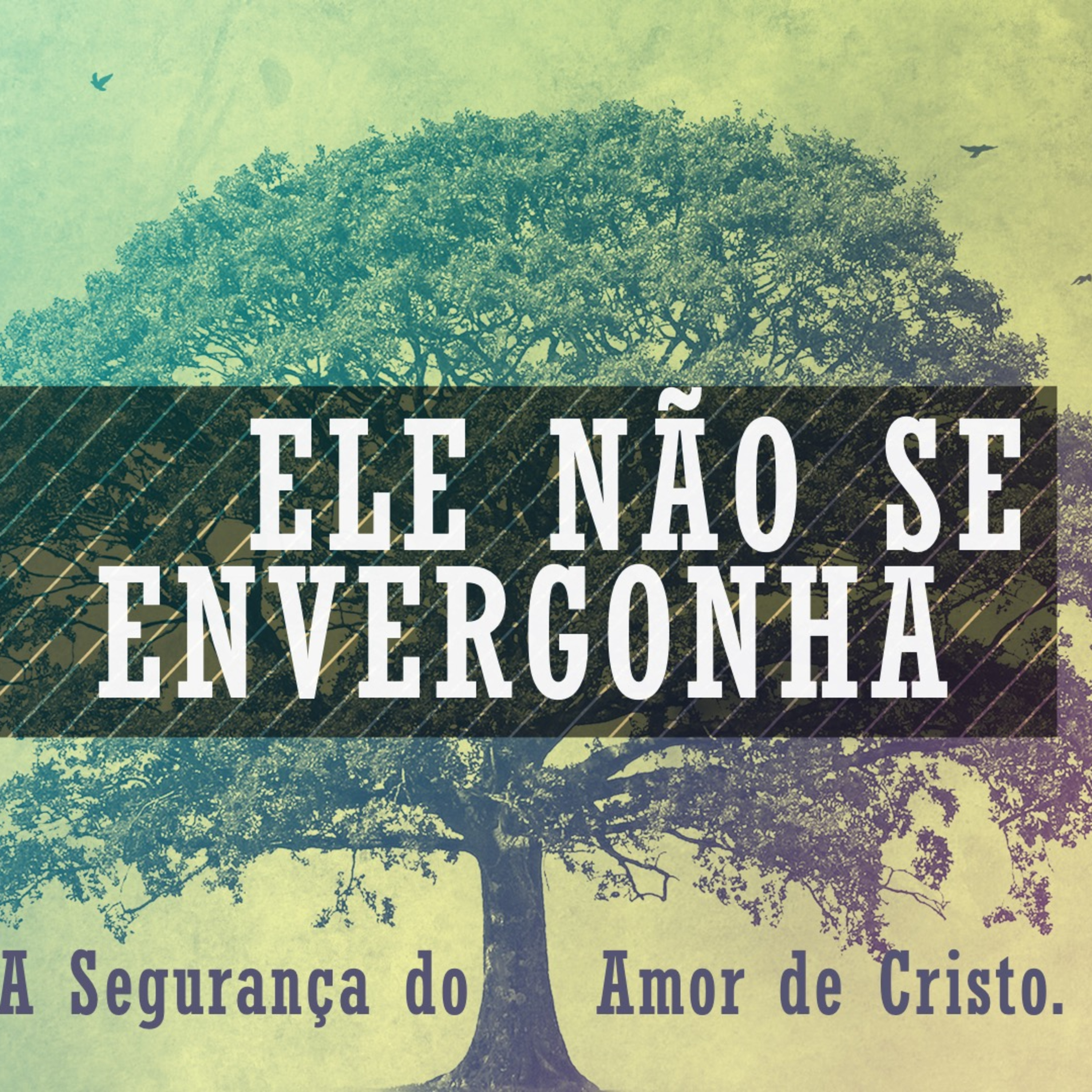 Ele não se envergonha - Rev. Lacy Campos - 08 de março de 2026 episode artwork