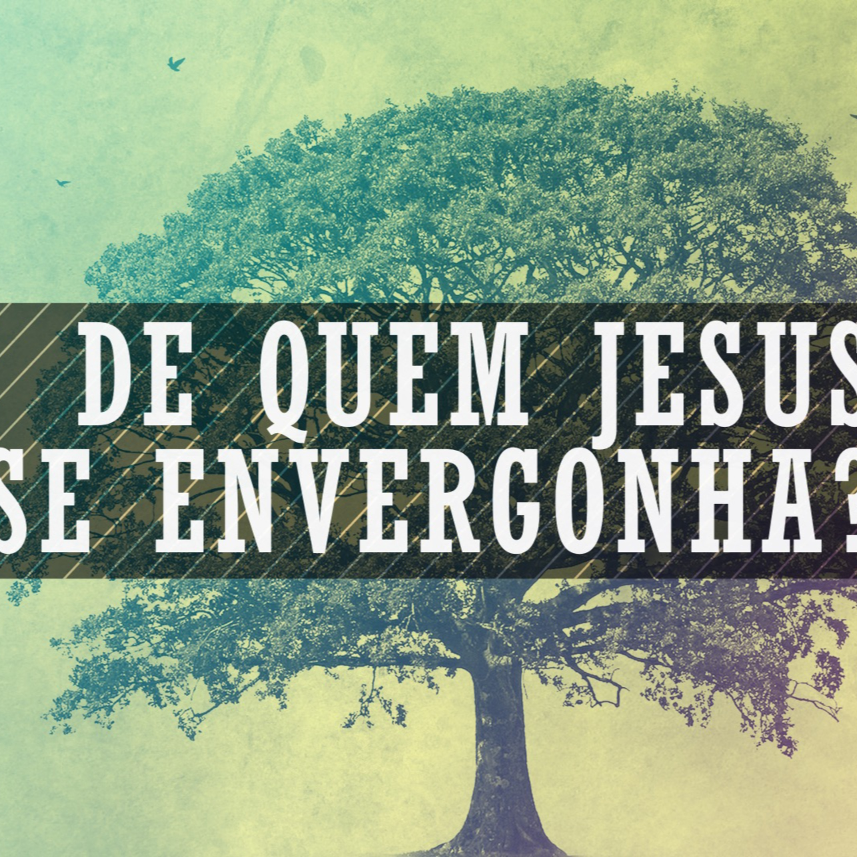 De Quem Jesus Se Envergonha? - Rev. Lacy Campos - 10 de maio 2026 episode artwork