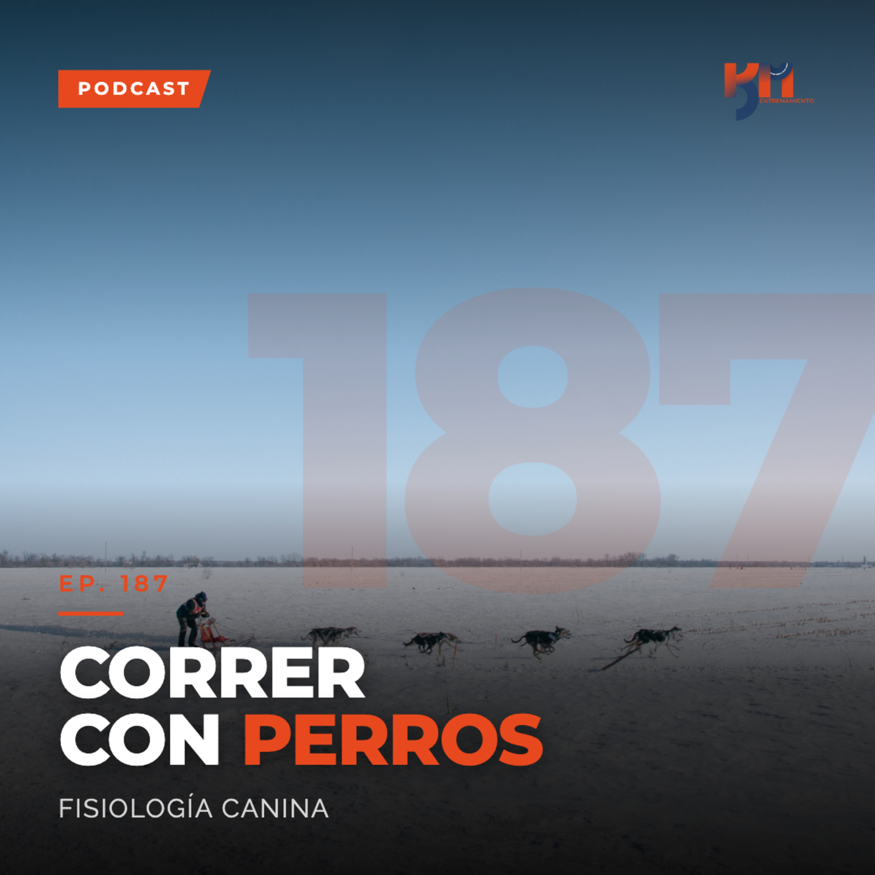187: Correr con Perros y de 10K a Maratón episode artwork
