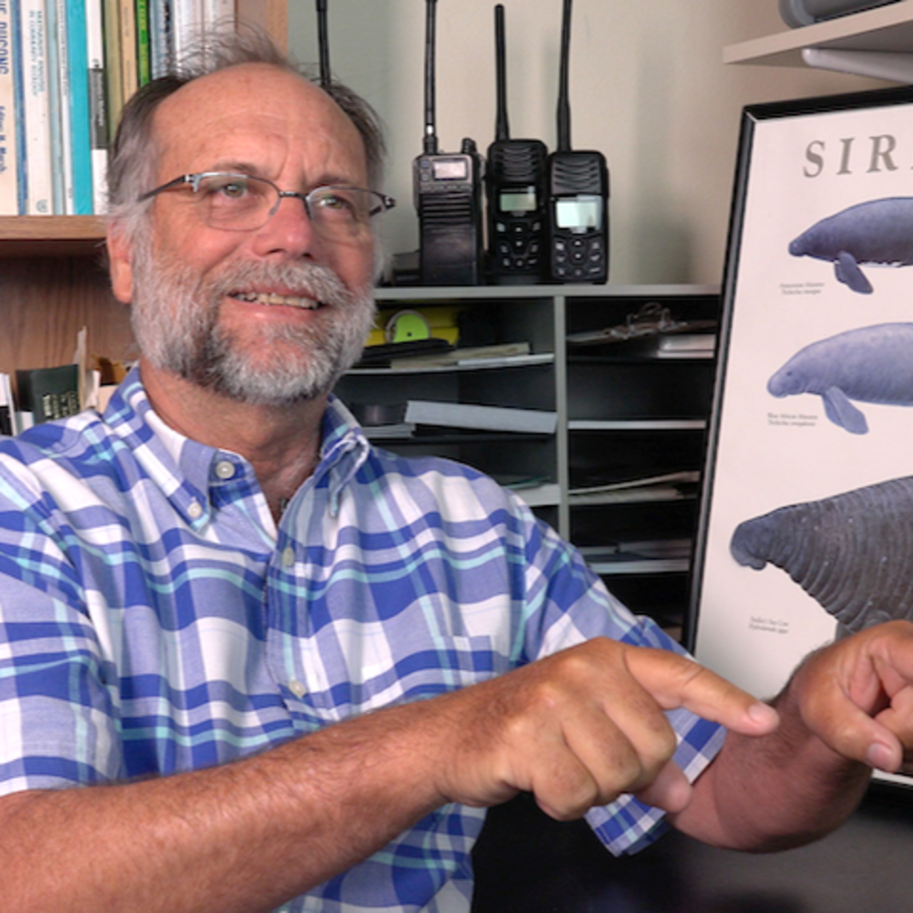 Aquatic Mammals - A Historical Perspective