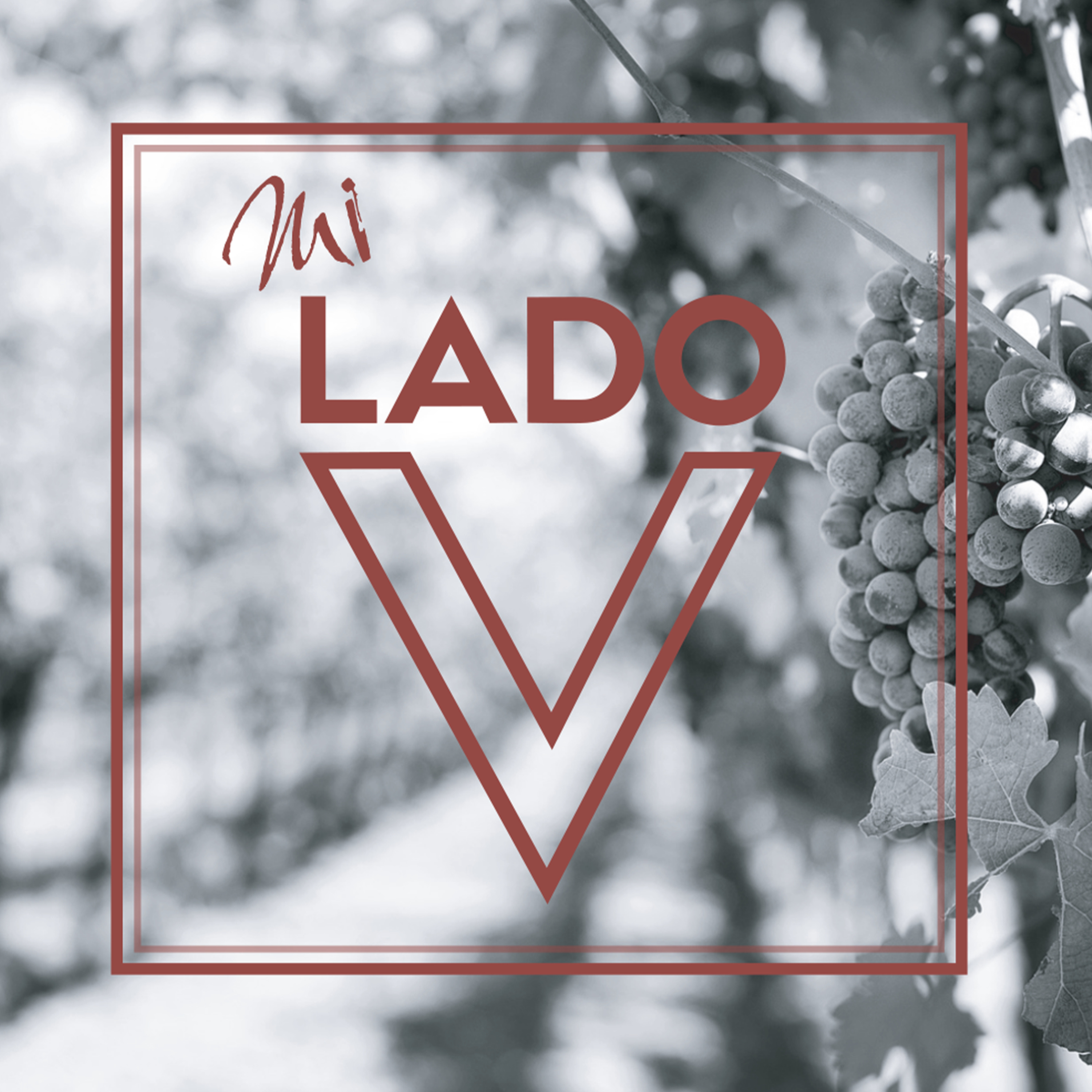 Mi Lado V - 21 de Julio de 2026 - Radio Monk episode artwork