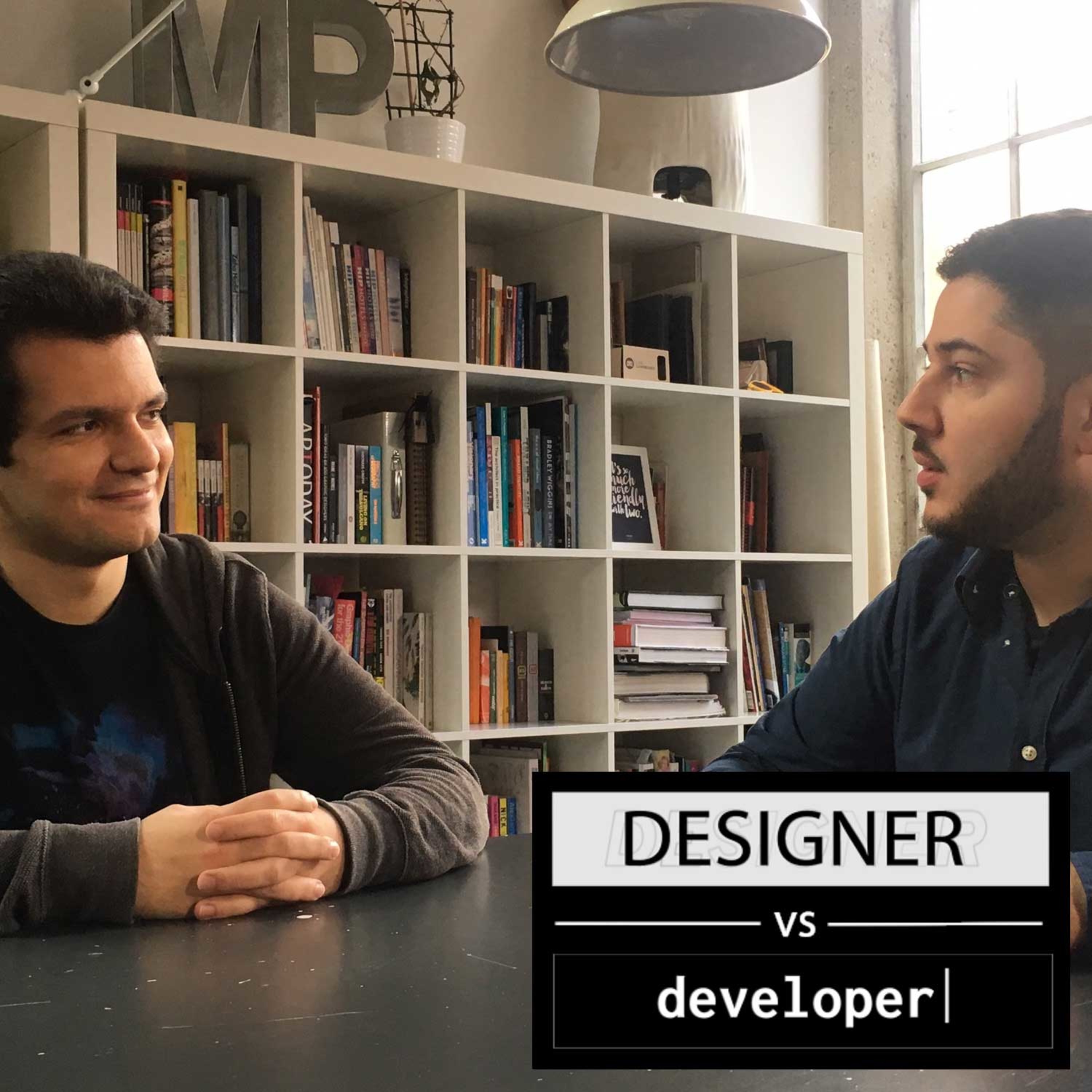Designer Vs Developer