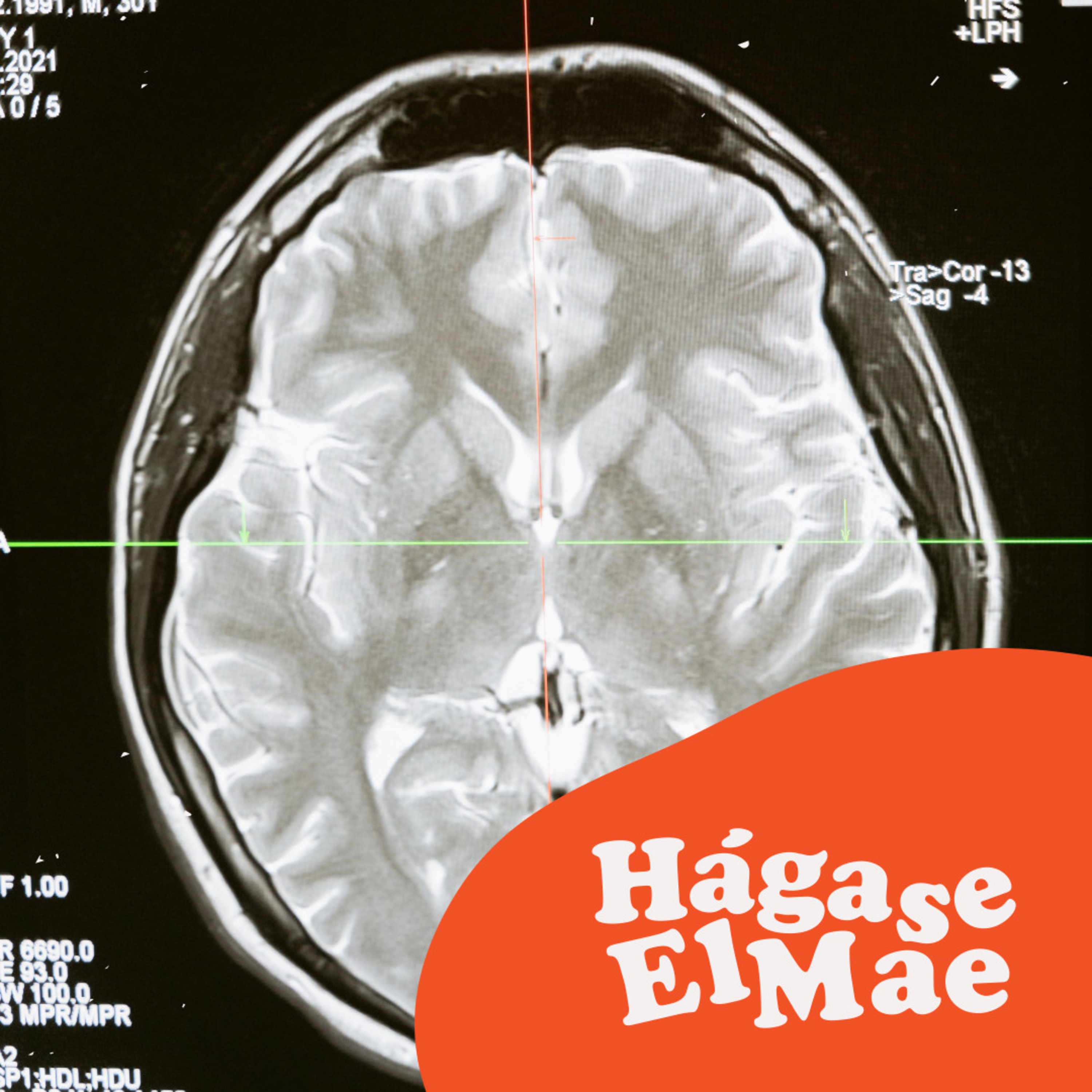 Hágase El Mae
