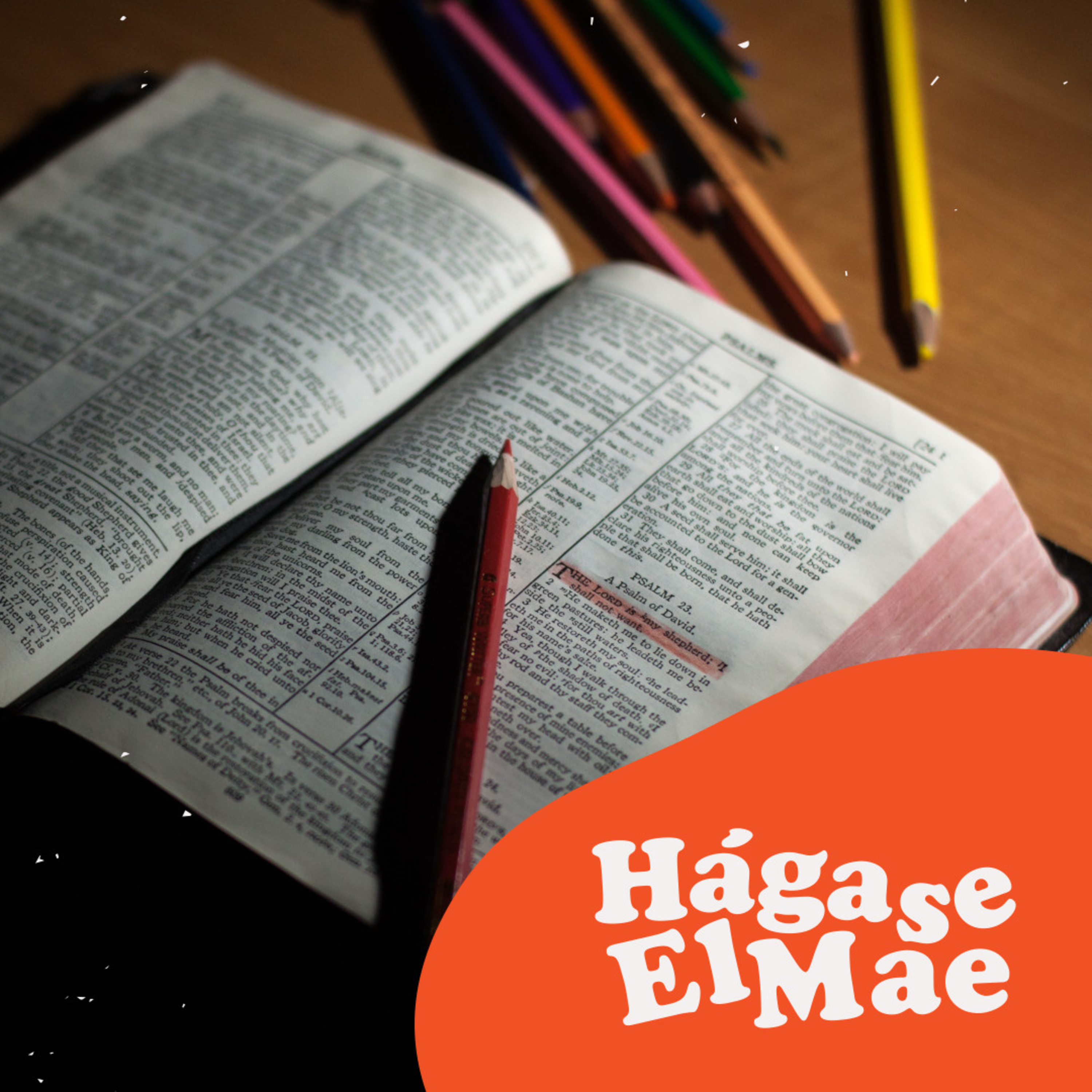 Hágase El Mae