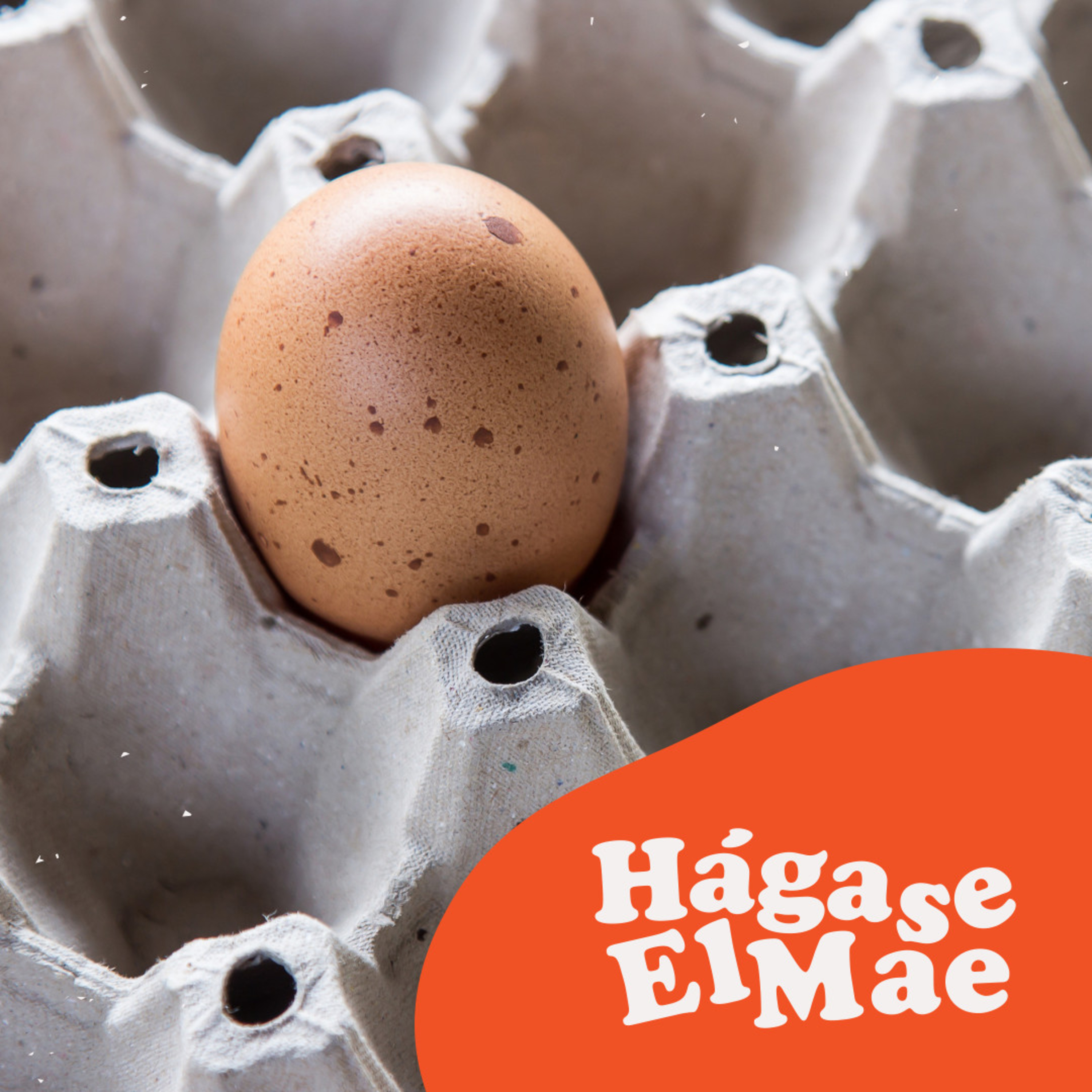 Hágase El Mae